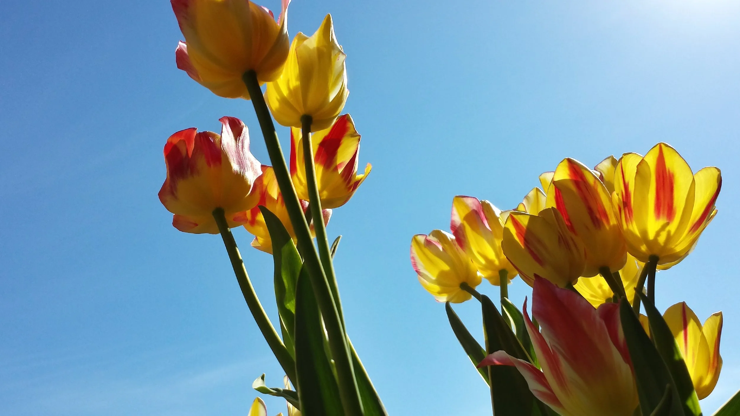 Easter Story Time with Jeff+