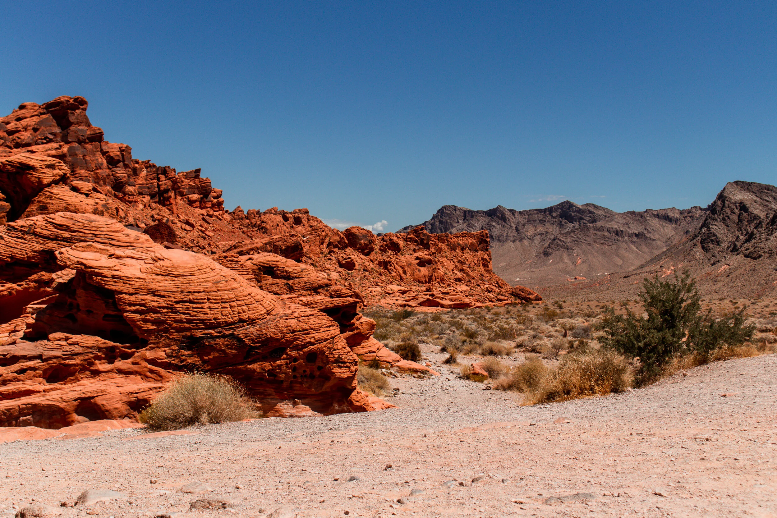 _MG_4889.jpg