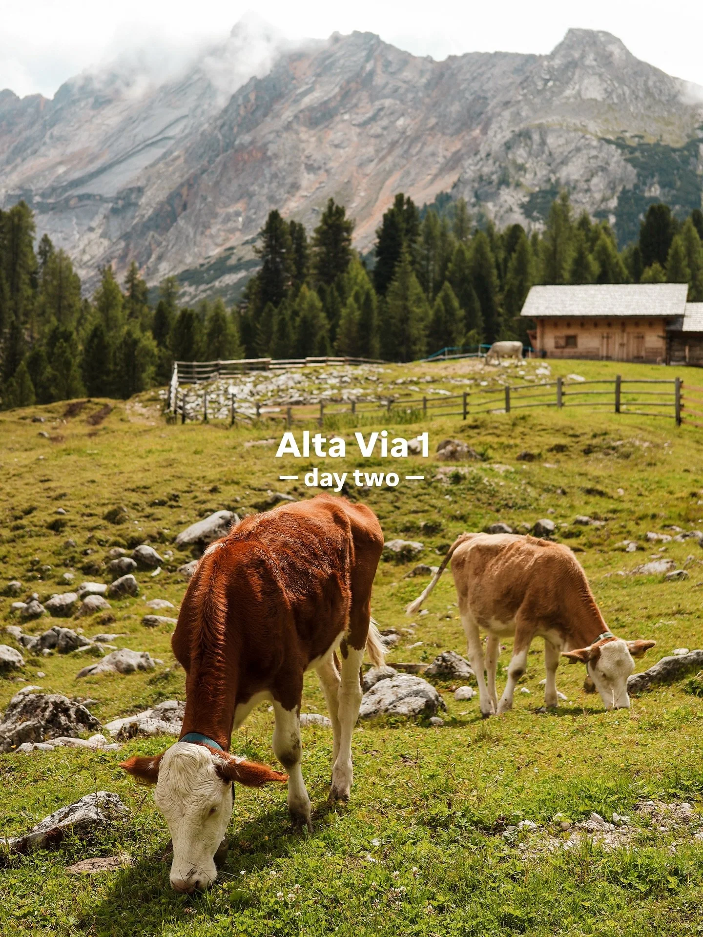 Alta Via 1 : Day 2

There were sections of day two that reminded me of parts of the US. Montana? Utah, maybe? We had our first little rain shower and I definitely did not properly pack my rain jacket and backpack cover in a convenient enough place wh