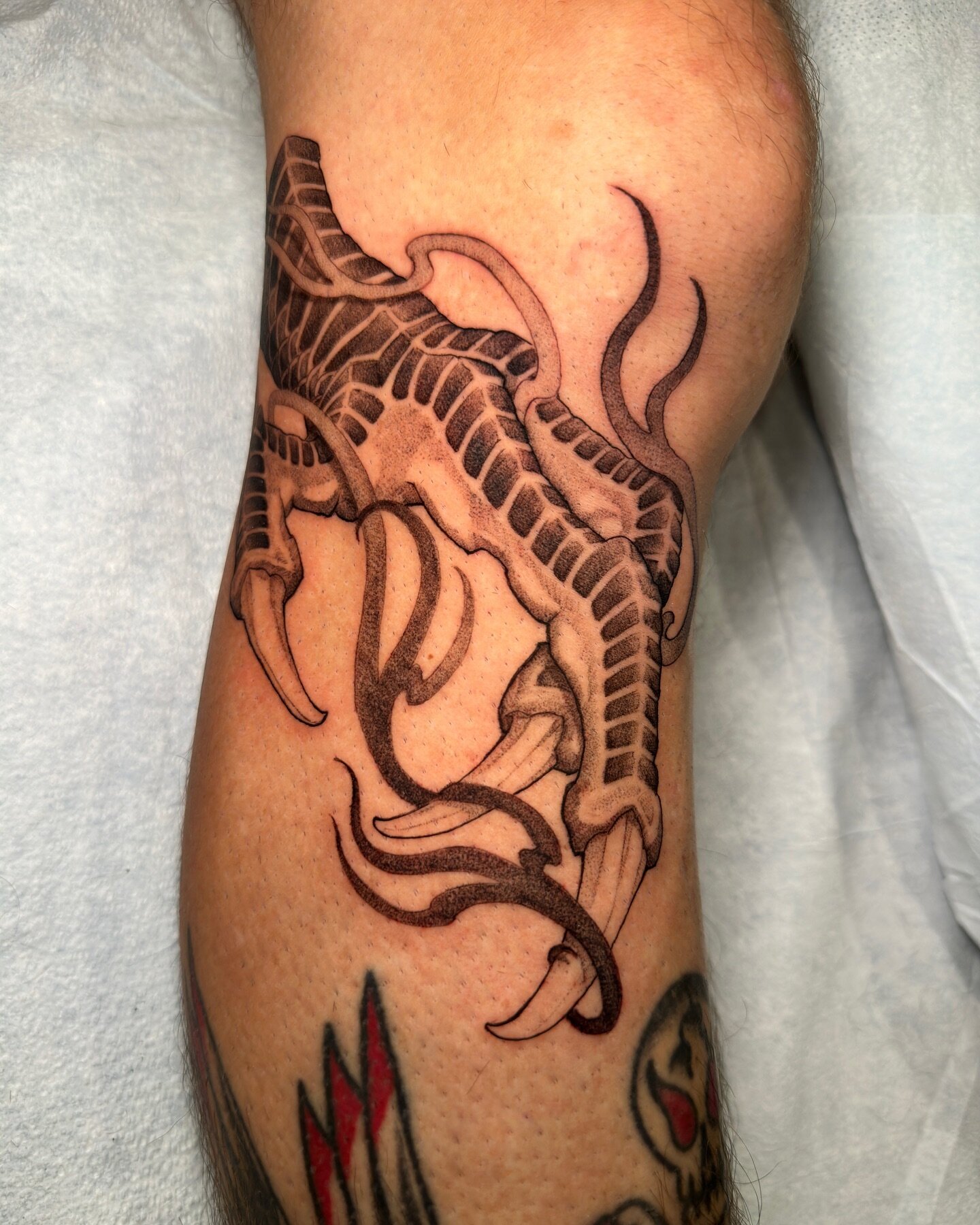 Check out this Dragon claw done by @tattoos.alexander ! 
He is wanting to build his portfolio in Japanese work, and is offering discounted rates for the months of December and January on Japanese style pieces! 
.
If you are interested in working with