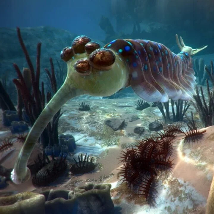 David Attenborough's First Life VR