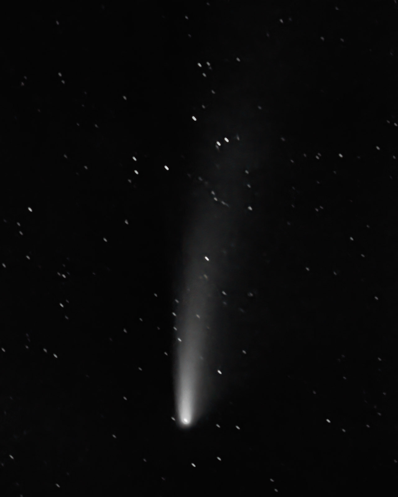 Neowise Comet in Infrared