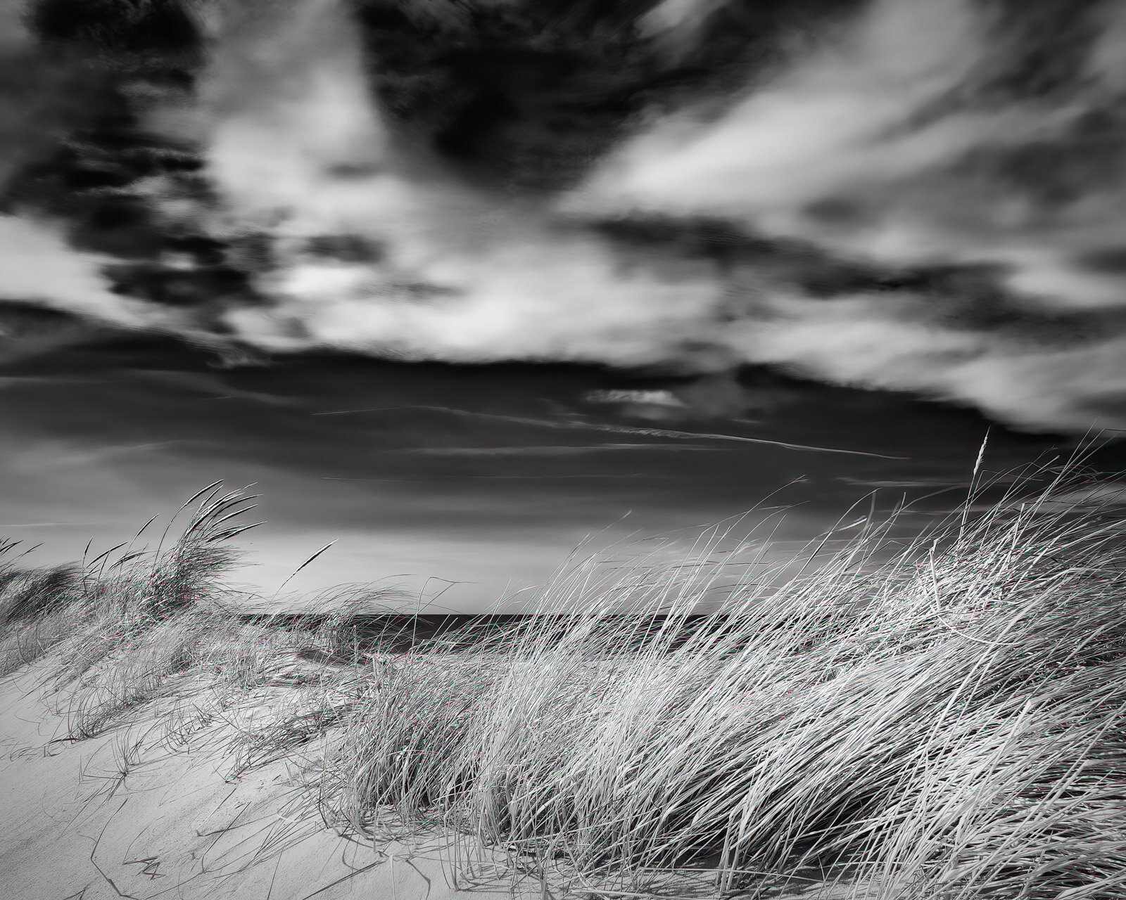 Infrared at the Beach