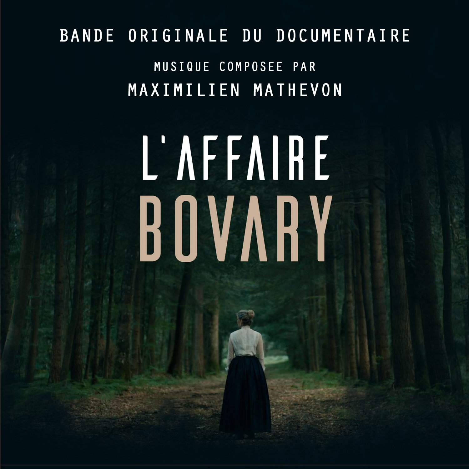 L'AFFAIRE BOVARY.jpg