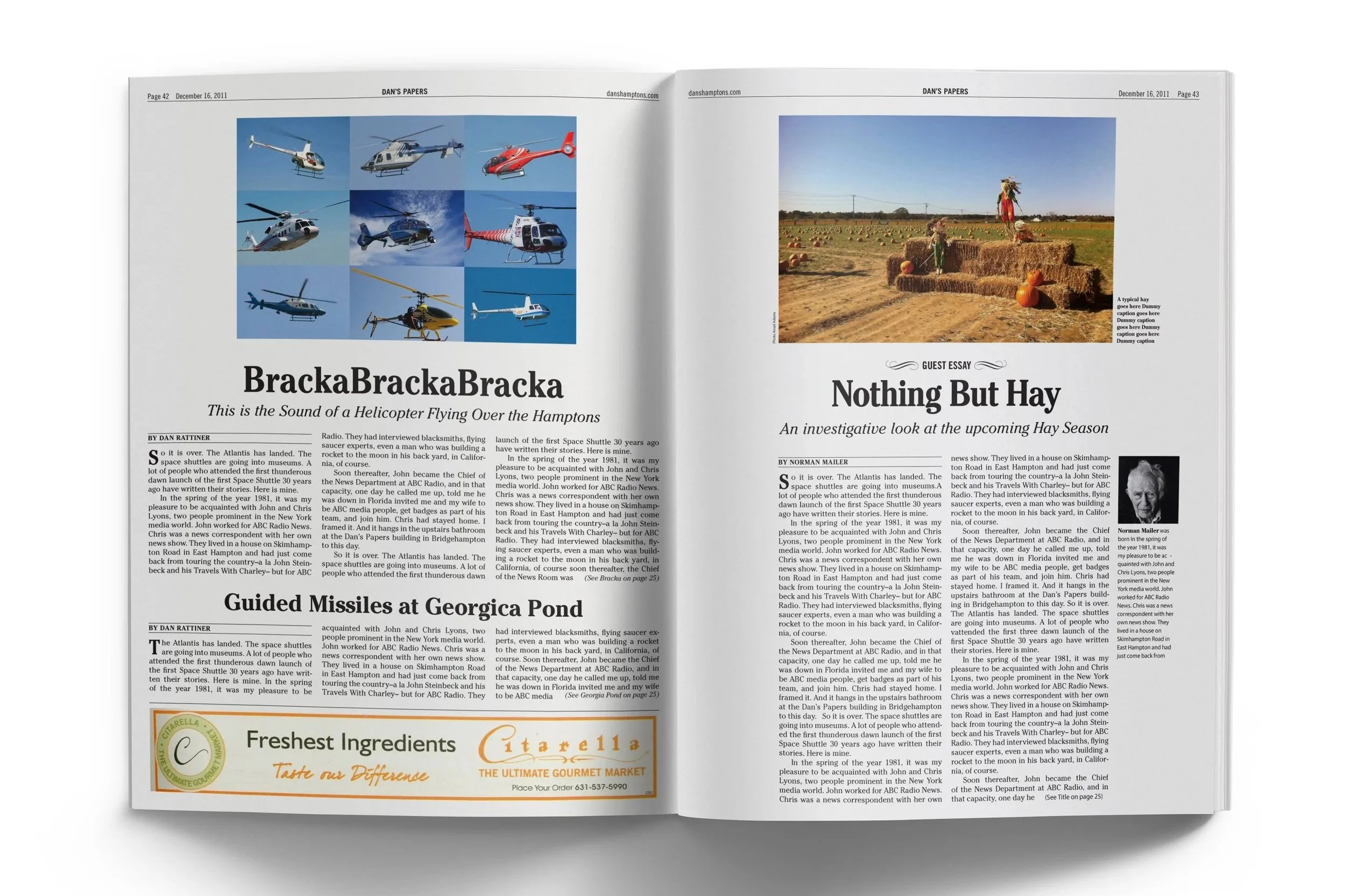 Dan's Papers Redesign