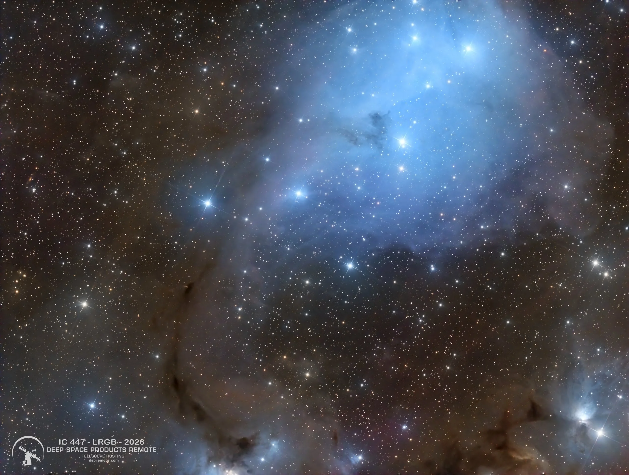 IC 447 – Blue Reflection in Monoceros