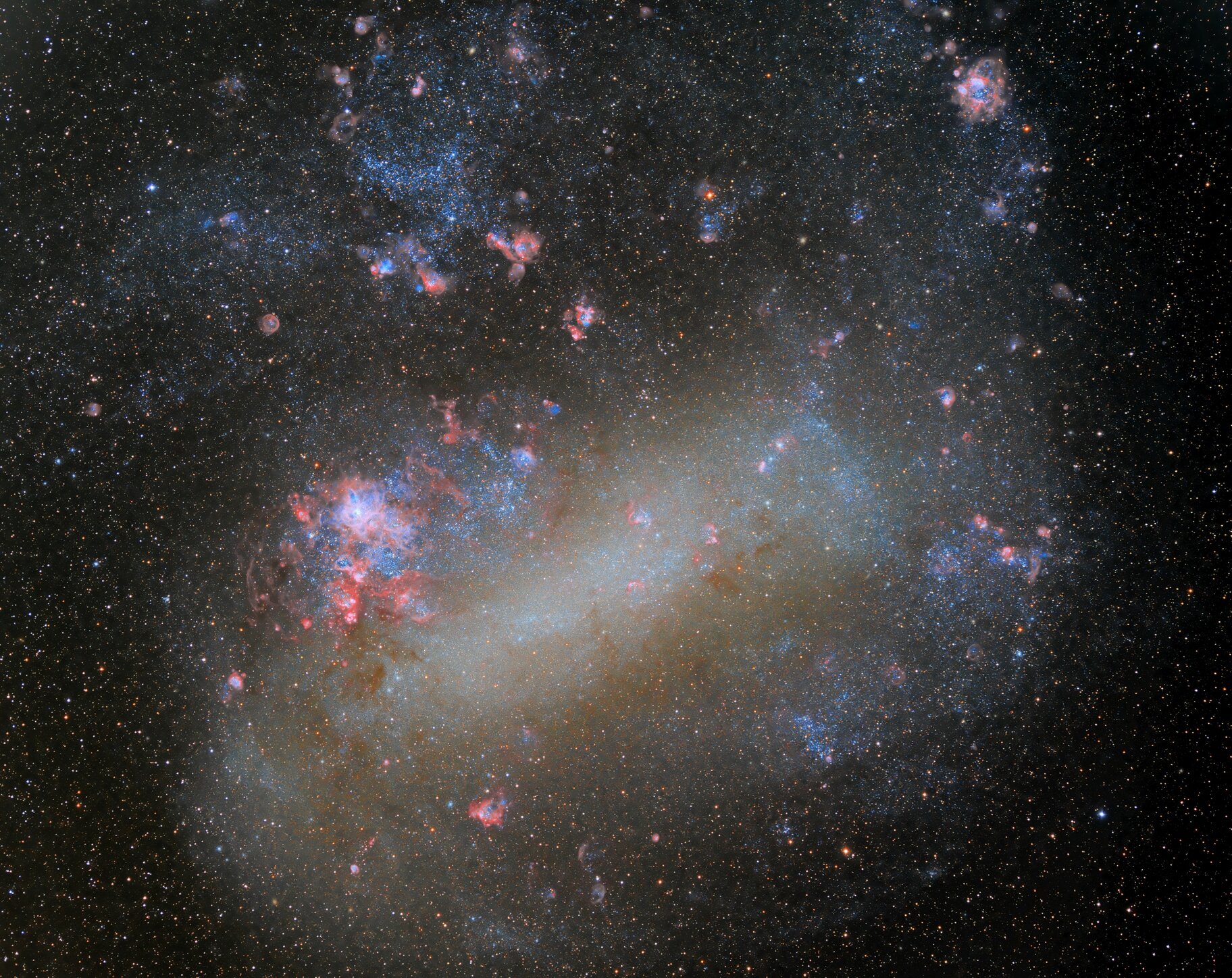 The Large Magellanic Cloud (LMC)