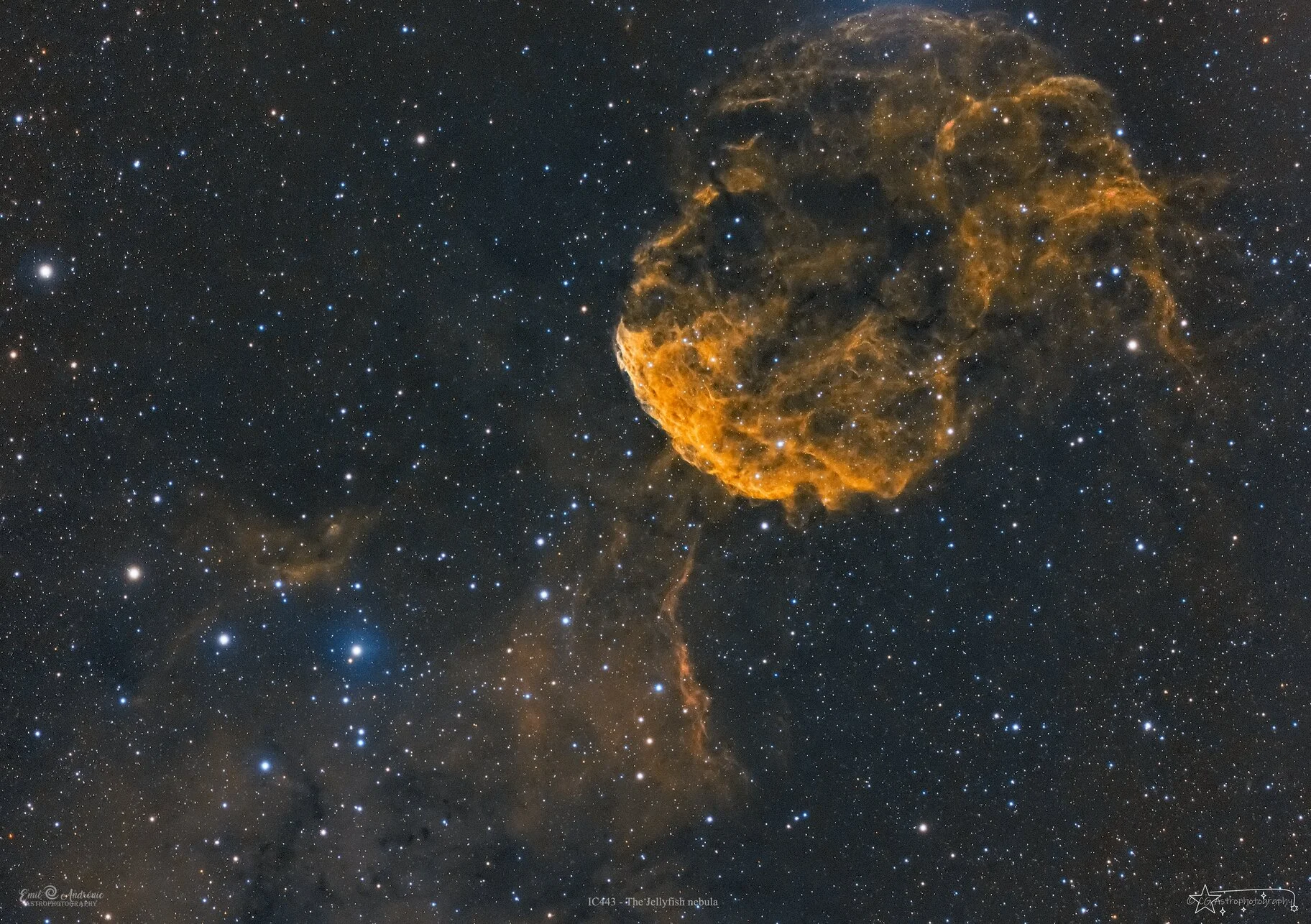 Jellyfish nebula in HaLRGB