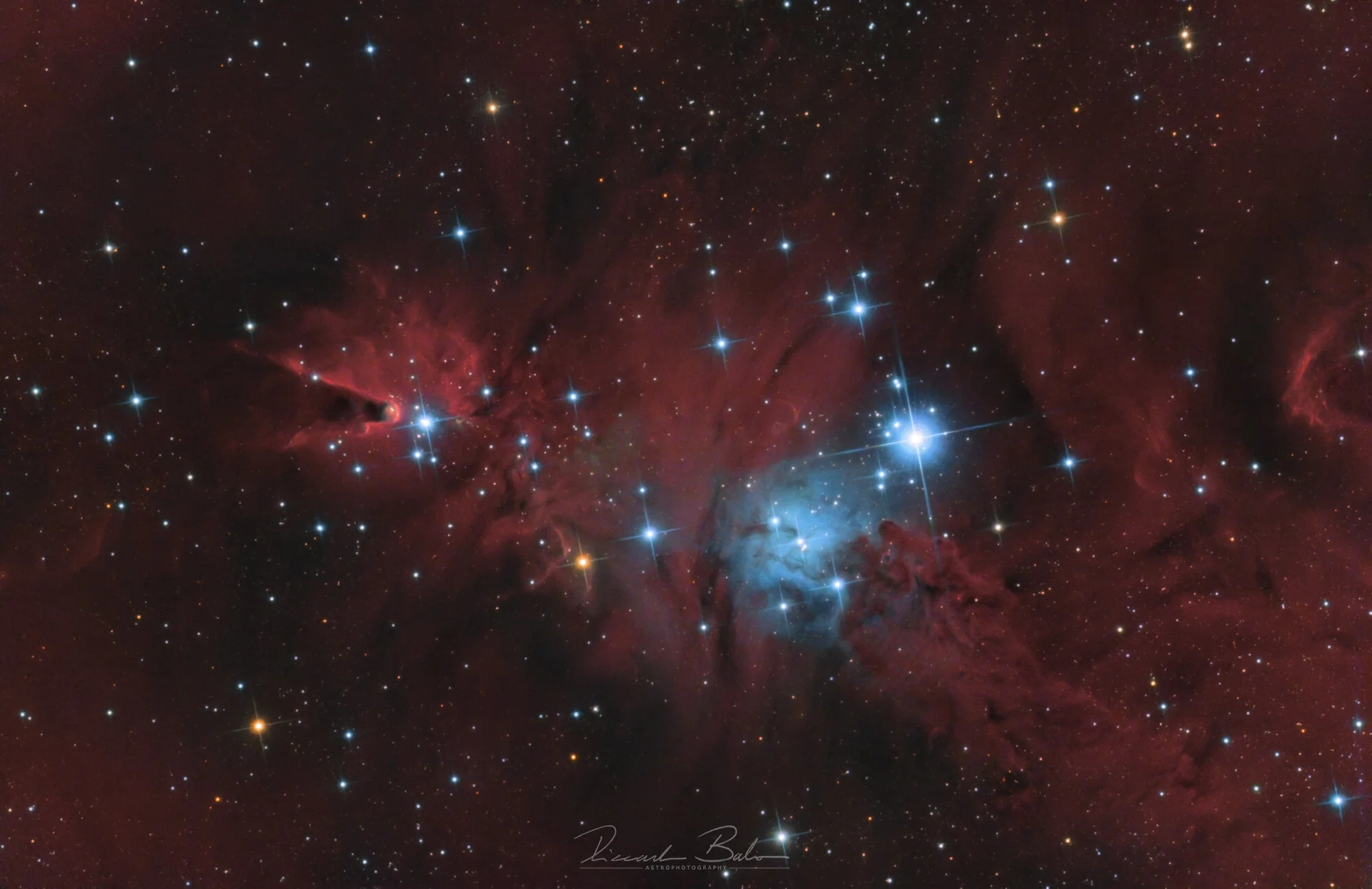 Cone Nebula Complex