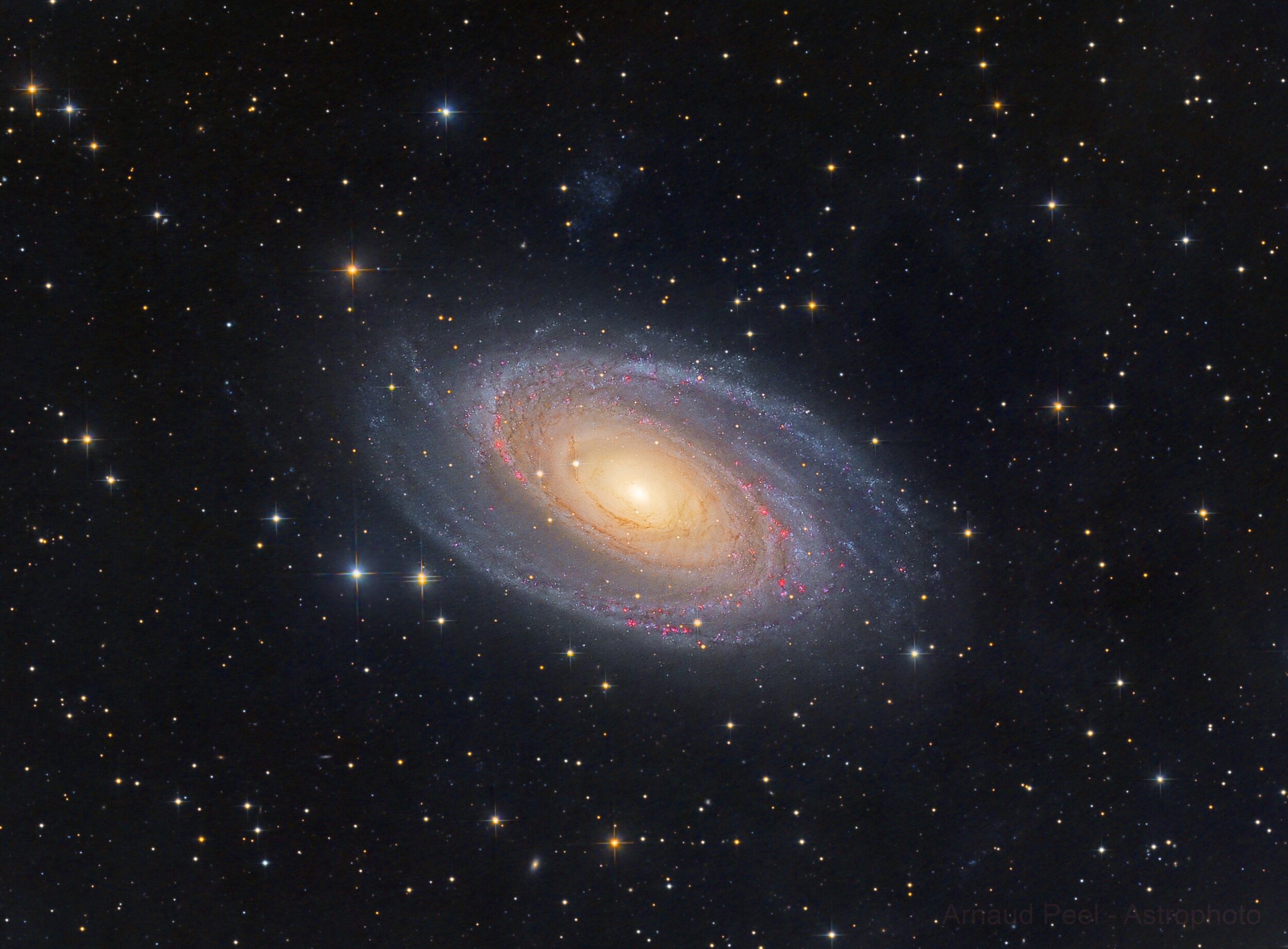 Bode 's Galaxy M81 — AAPOD2.COM