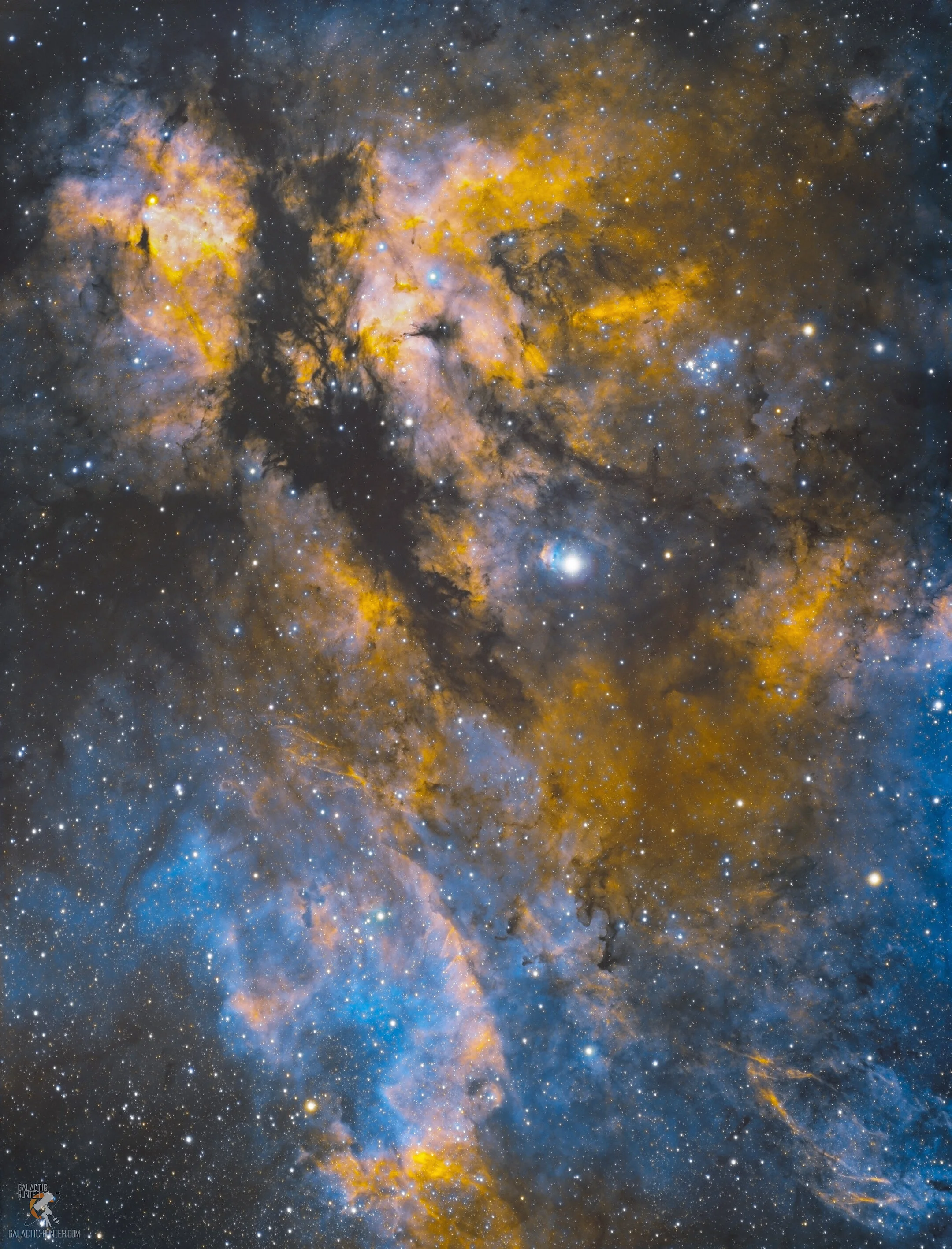 Butterfly Nebula in the Sadr Region