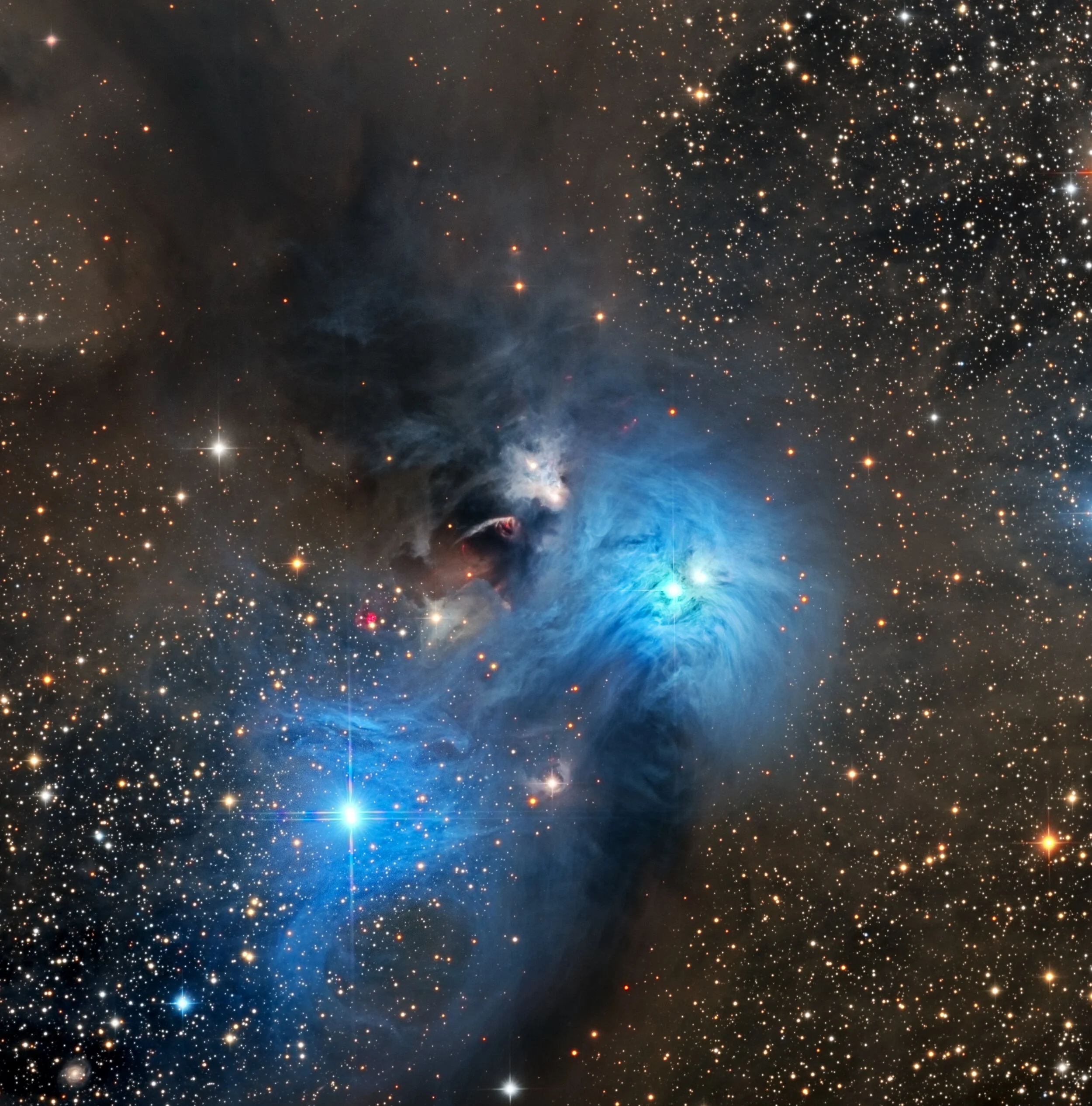 Ngc 6729 Ngc 6726 Amateur Astronomy Image Of The Day Aapod2