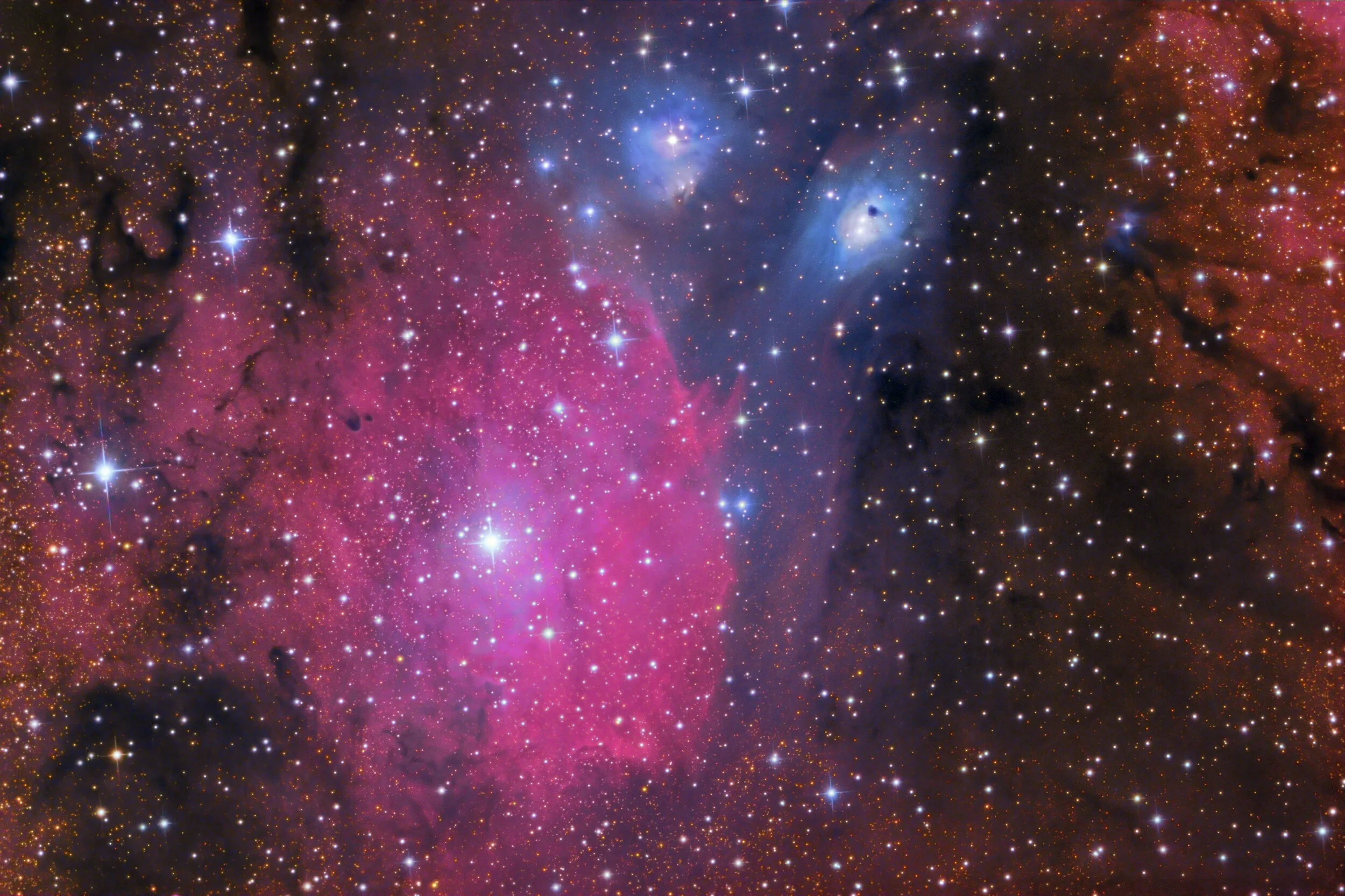  A Cosmic Snail      