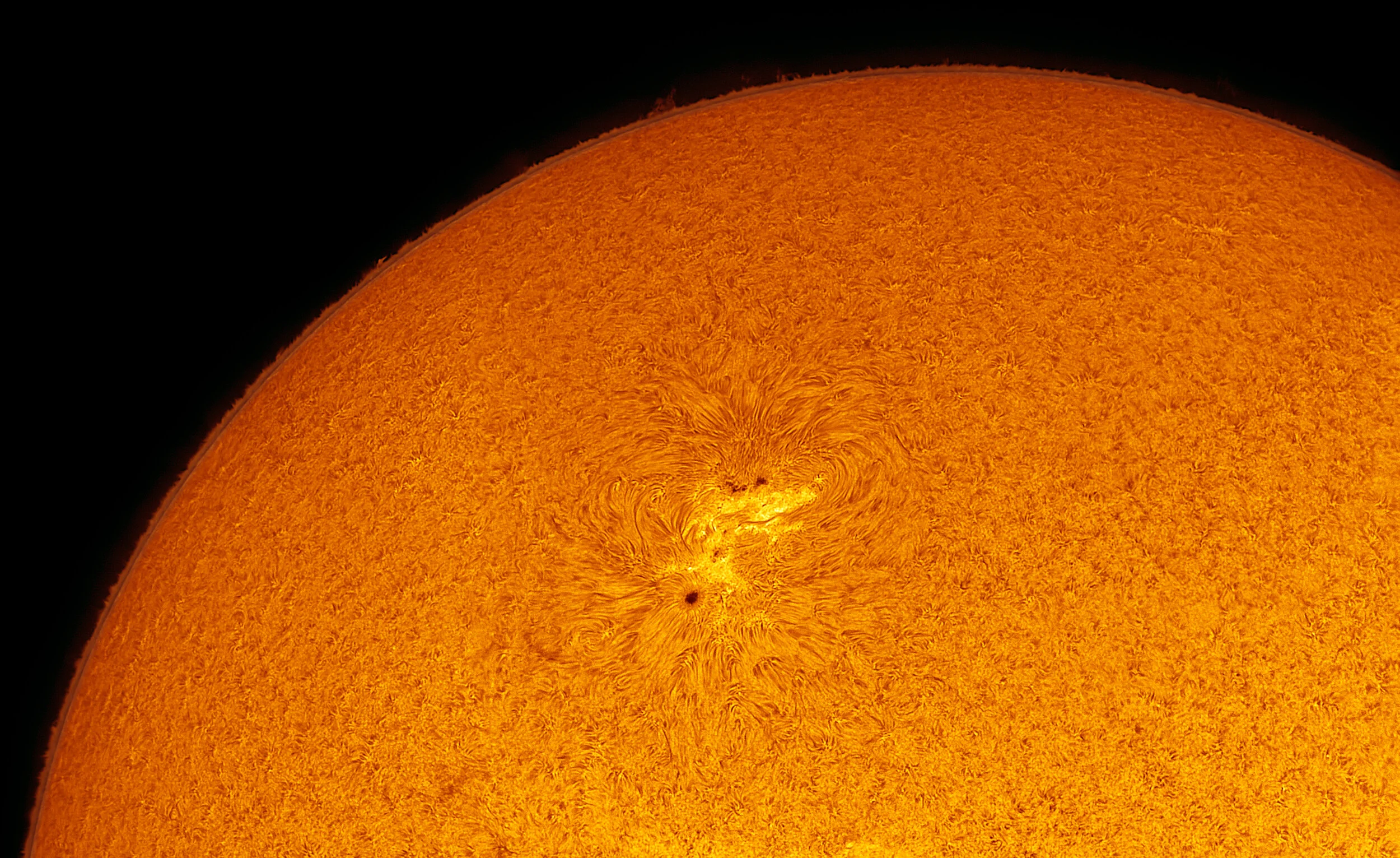 AR 2781 in H-Alpha