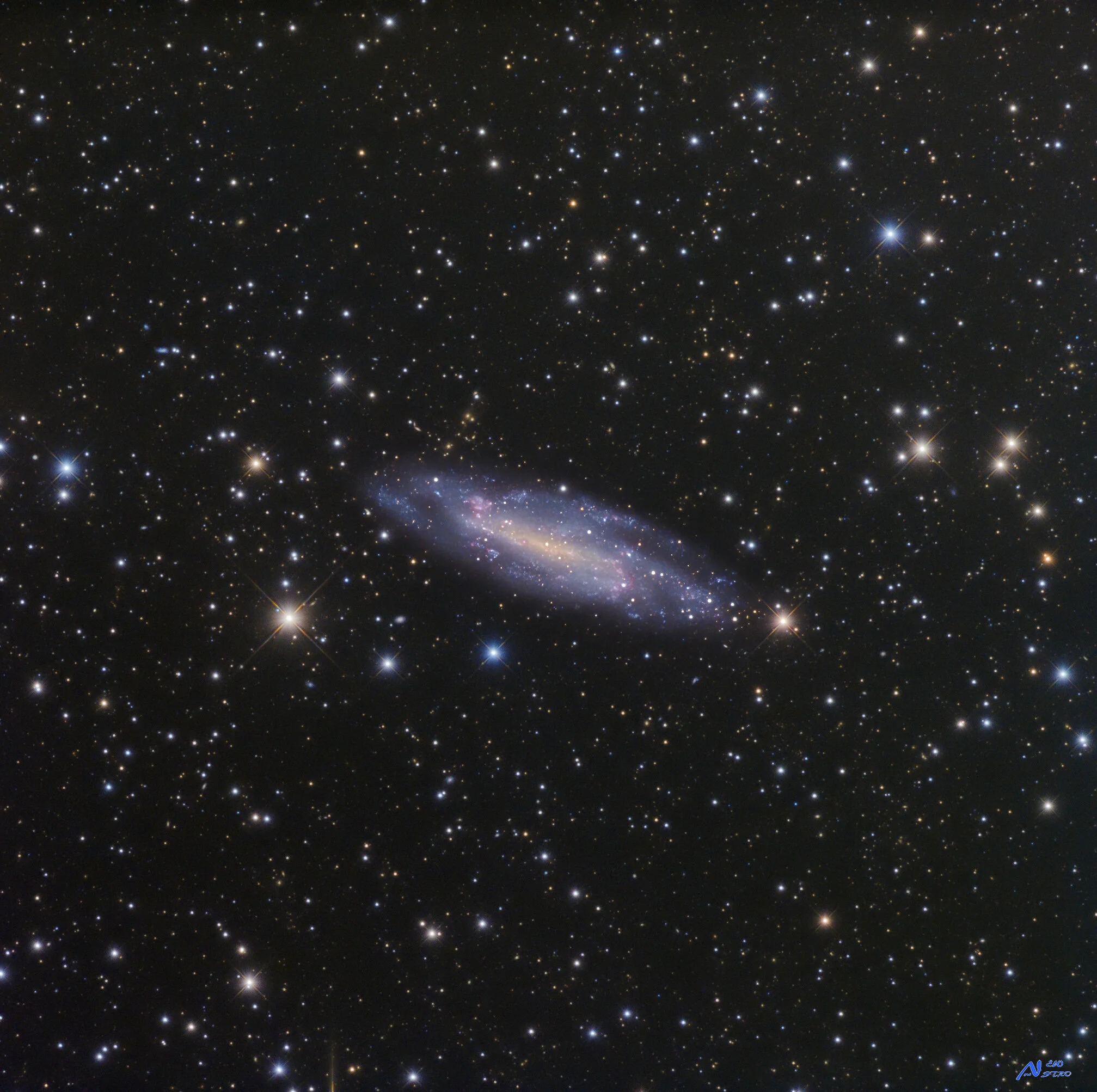 Ngc 4236  