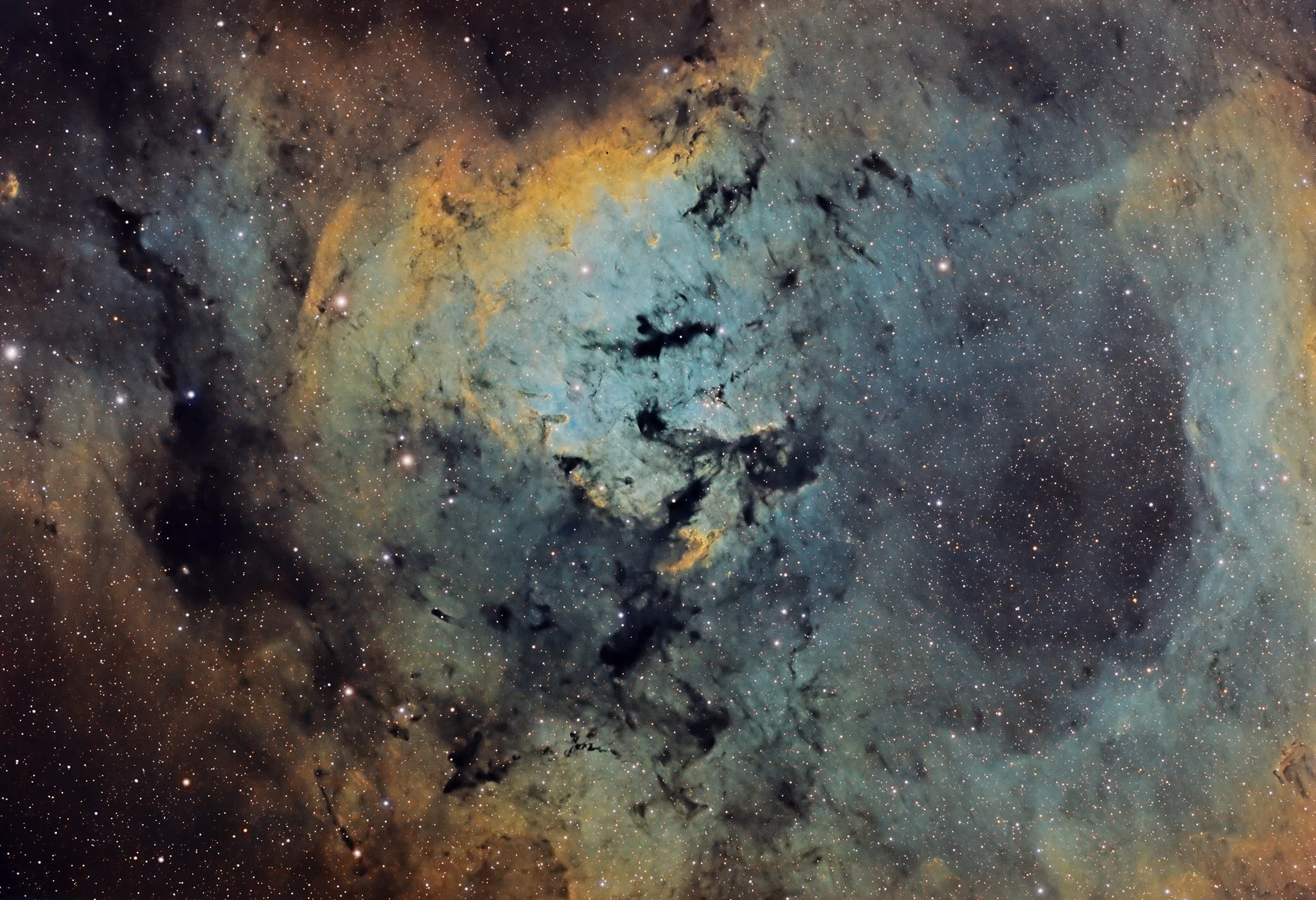 NGC7822, Sh2-171. This is an object that I have been wanting to re capture for several years now. My first complete image with the new William Optics FLT91.  Technical card  Imaging telescopes or lenses: William Optics FLT91mm Imaging cameras: ZWO ASI 294 MM Pro Cooled  Mounts: iOptron CEM120 Guiding telescopes or lenses: William Optics Guidestar 61mm Guiding cameras: ZWO ASI 120mm mini  Focal reducers: William Optics 0.8 reducer/flattner  Software: SharpCap Sharcap 3.2.60 · Stark Labs PHD2 · QHYCCD Pole master · Pleaides Astrophoto PixInsight · N.I.N.A.  Filters: Astronomik 6nm Ha · Astronomik 6nm OIII · Astronomik 6nm SII  Accessory: AstroZap Dew Heater Straps · Pegasus Astro Ultimate Powerbox V.2 · Moonlite focuser 2.5 inch Focuser with high resolution stepper motor   Dates: September 26-28 2021  Frames: Astronomik 6nm Ha: 131x180" (gain: 120.00) bin 1x1 Astronomik 6nm OIII: 90x180" (gain: 120.00) bin 1x1 Astronomik 6nm SII: 103x180" (gain: 120.00) bin 1x1  Integration: 16.2 hours Darks: ~50 Flats: ~50 Flat darks: ~50  Locations: Remote site: Fredonia, Al., Lanett, Alabama, United StatesCopyright: Altum spatium Astrophotography