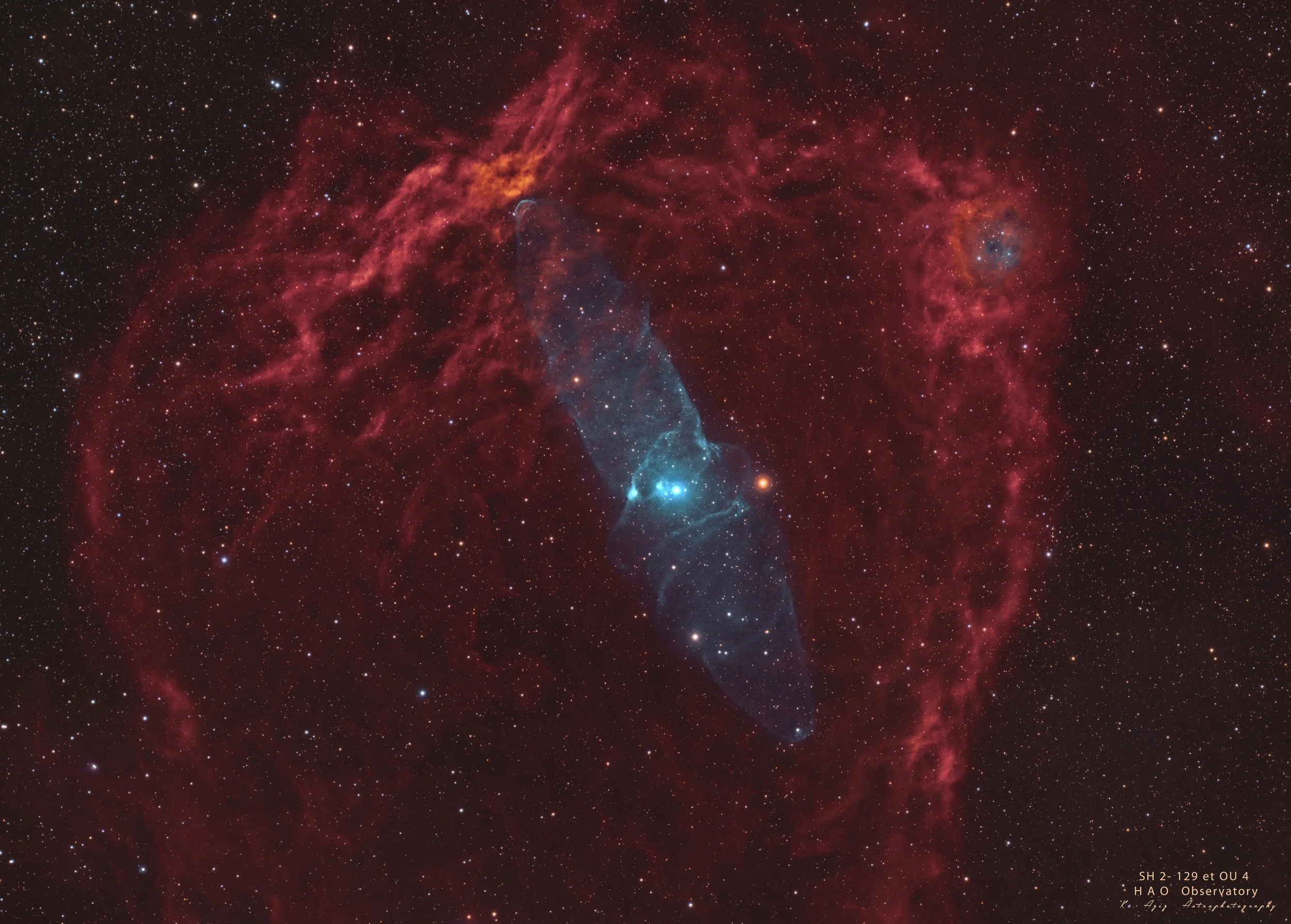 Flying Bat Nebula and Squid Nebula