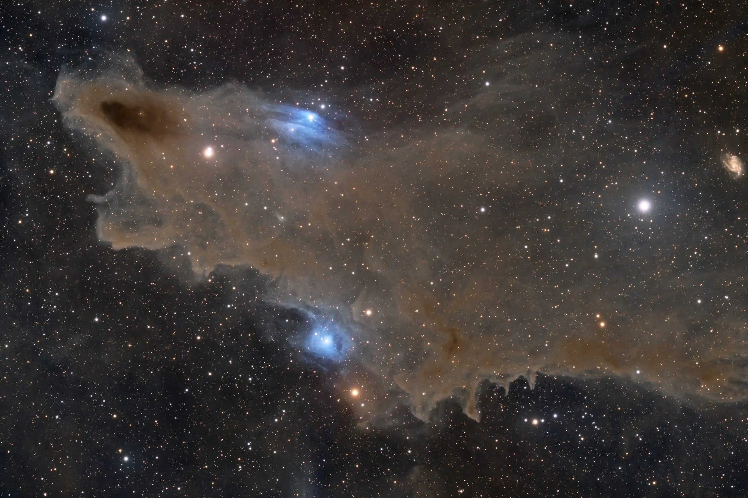 A Shark in Cepheus   