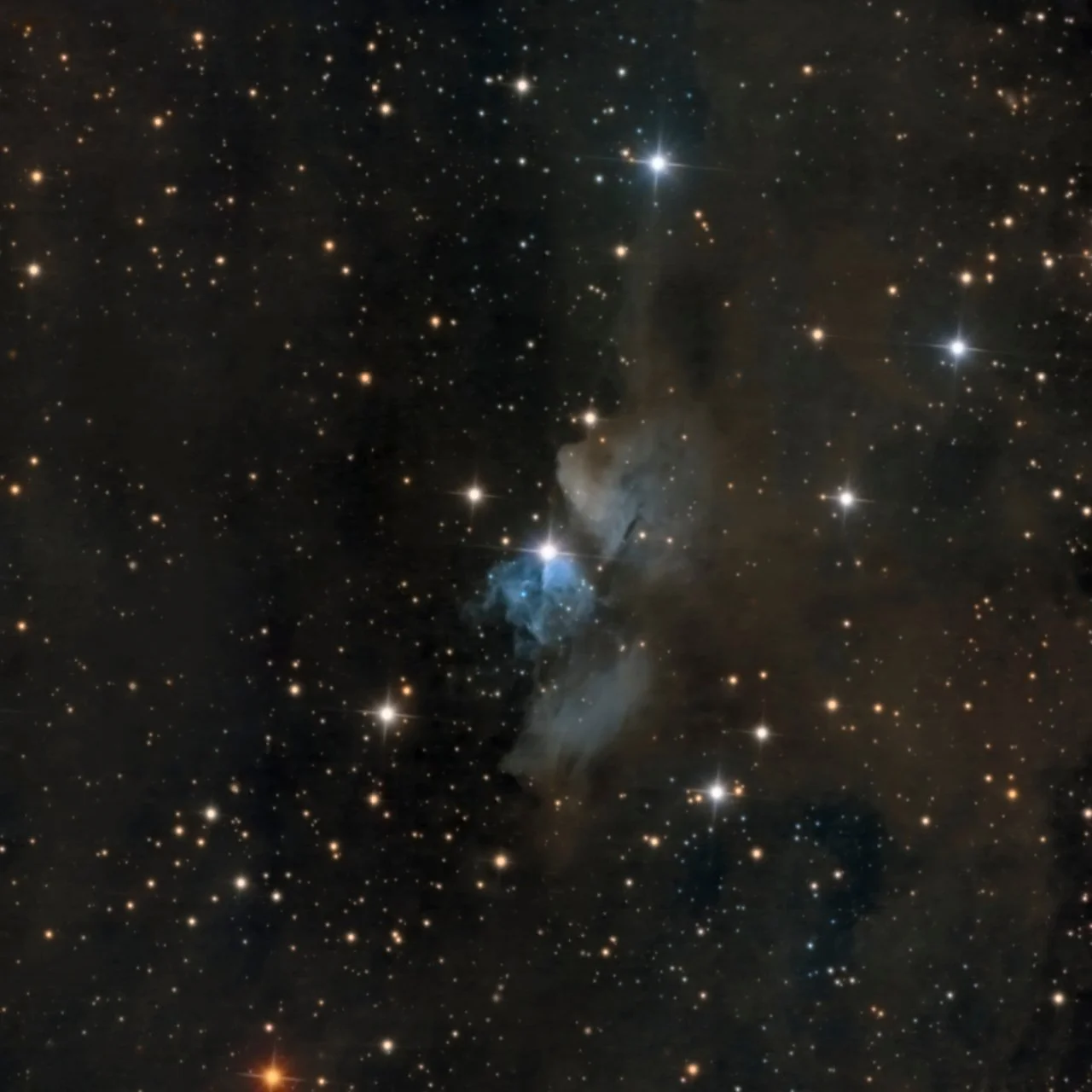 vDB 24     