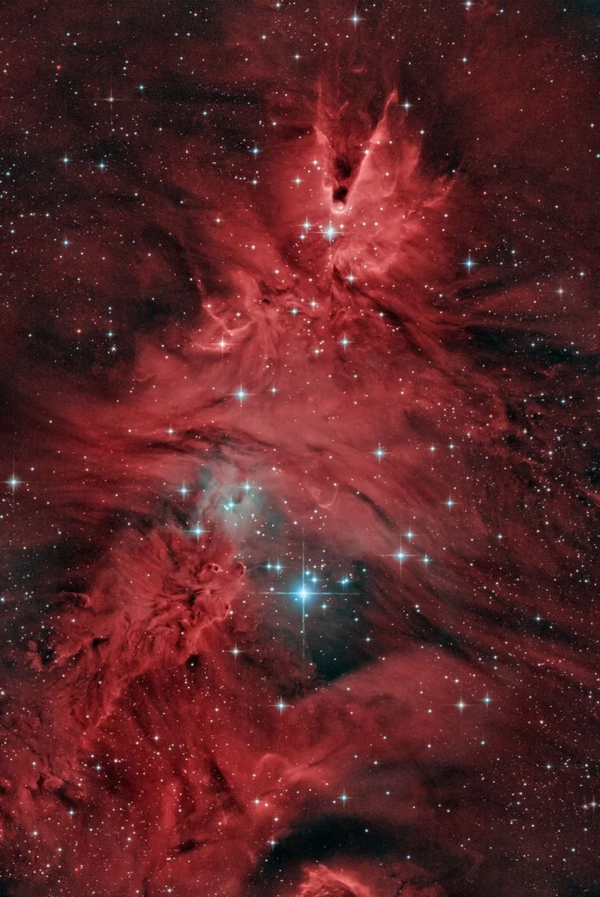 NGC 2264 Christmas Tree Cluster &amp; Cone Nebula