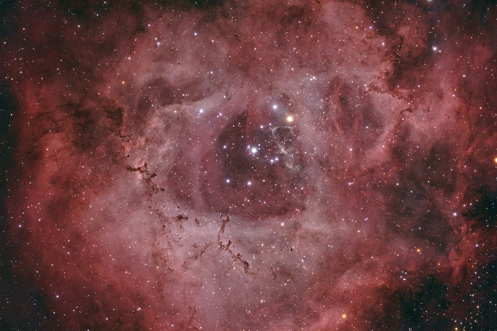 Rosette Nebula by Dan Stern