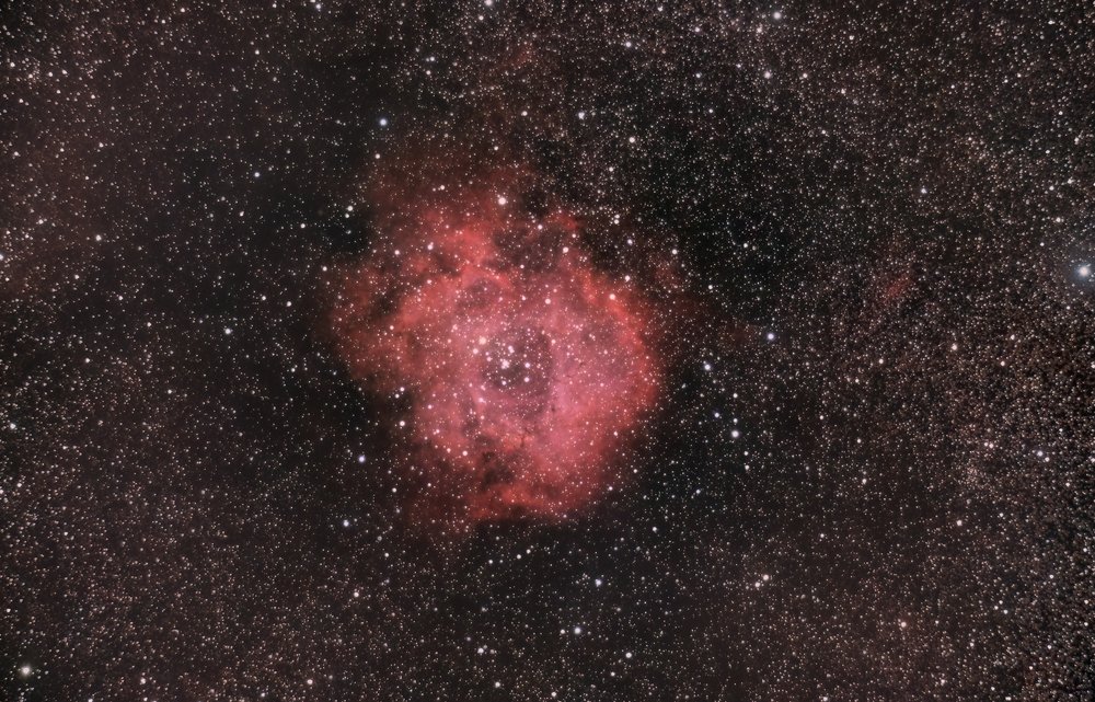 Rosettee Nebula Jay Messeroff
