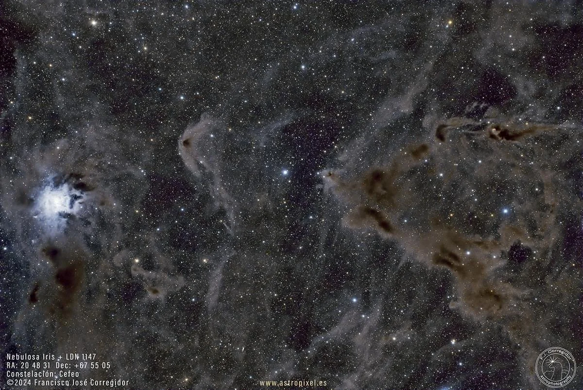 Iris Nebula