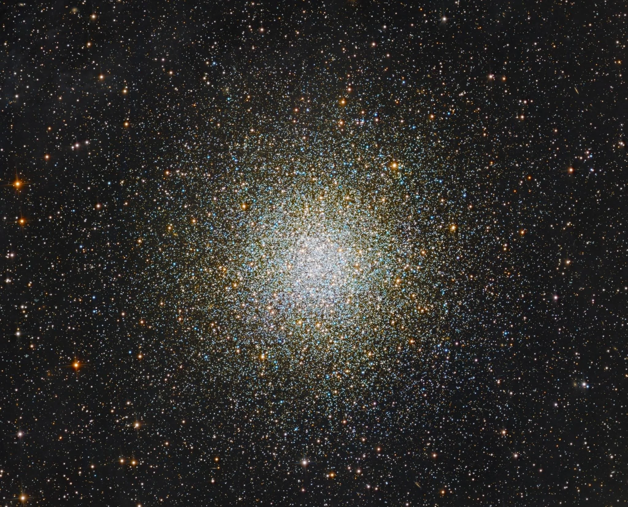 M55