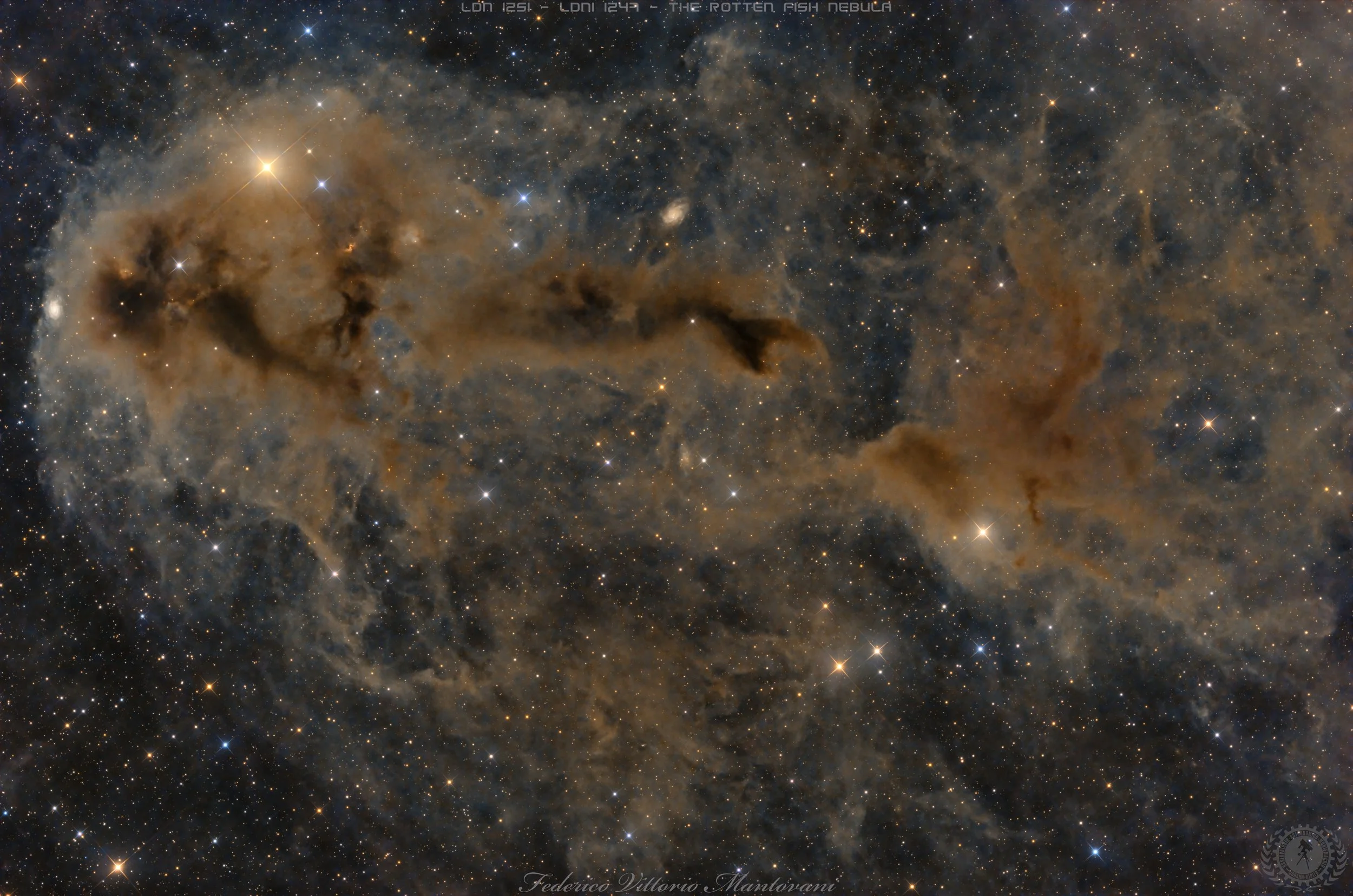 LDN 1251 - LDN 1247 THE ROTTEN FISH NEBULA