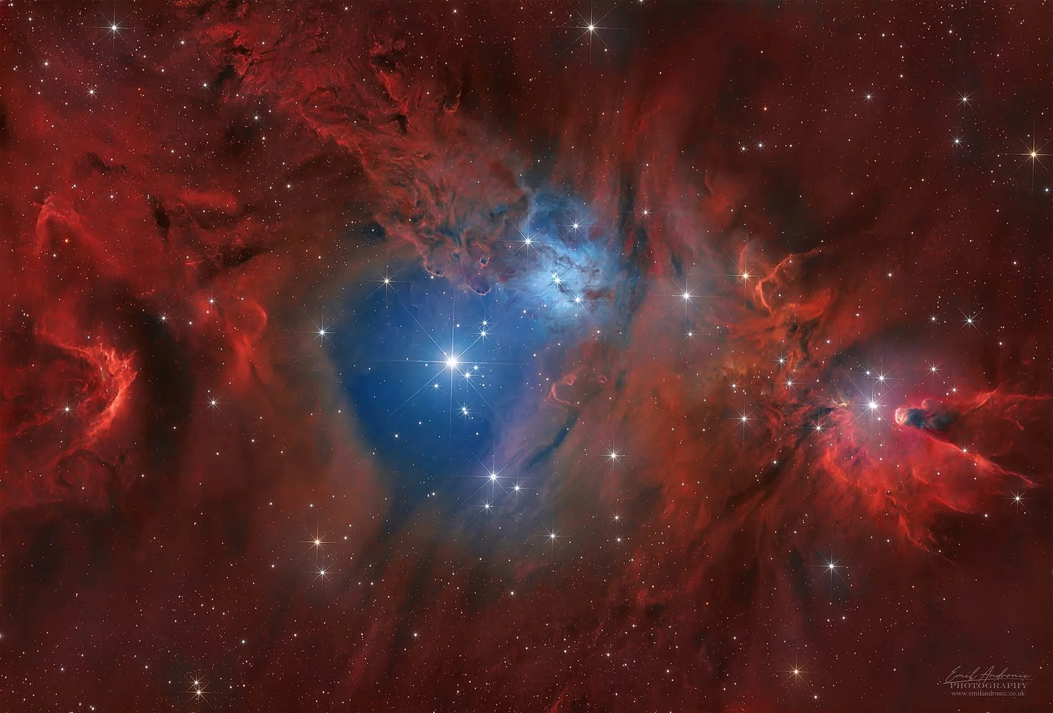 Cone and Fox Fur Nebula