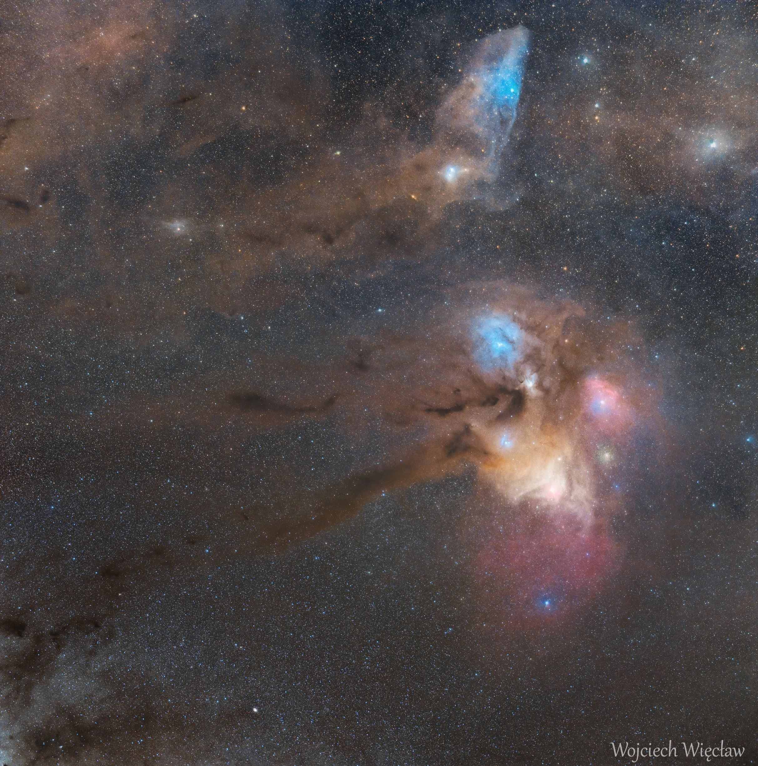 Rho Opiuchi and Blue Horsehead