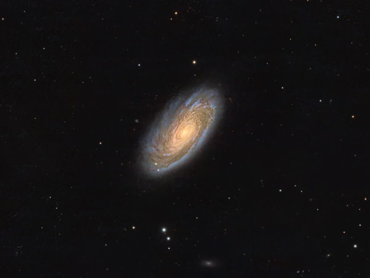 M88