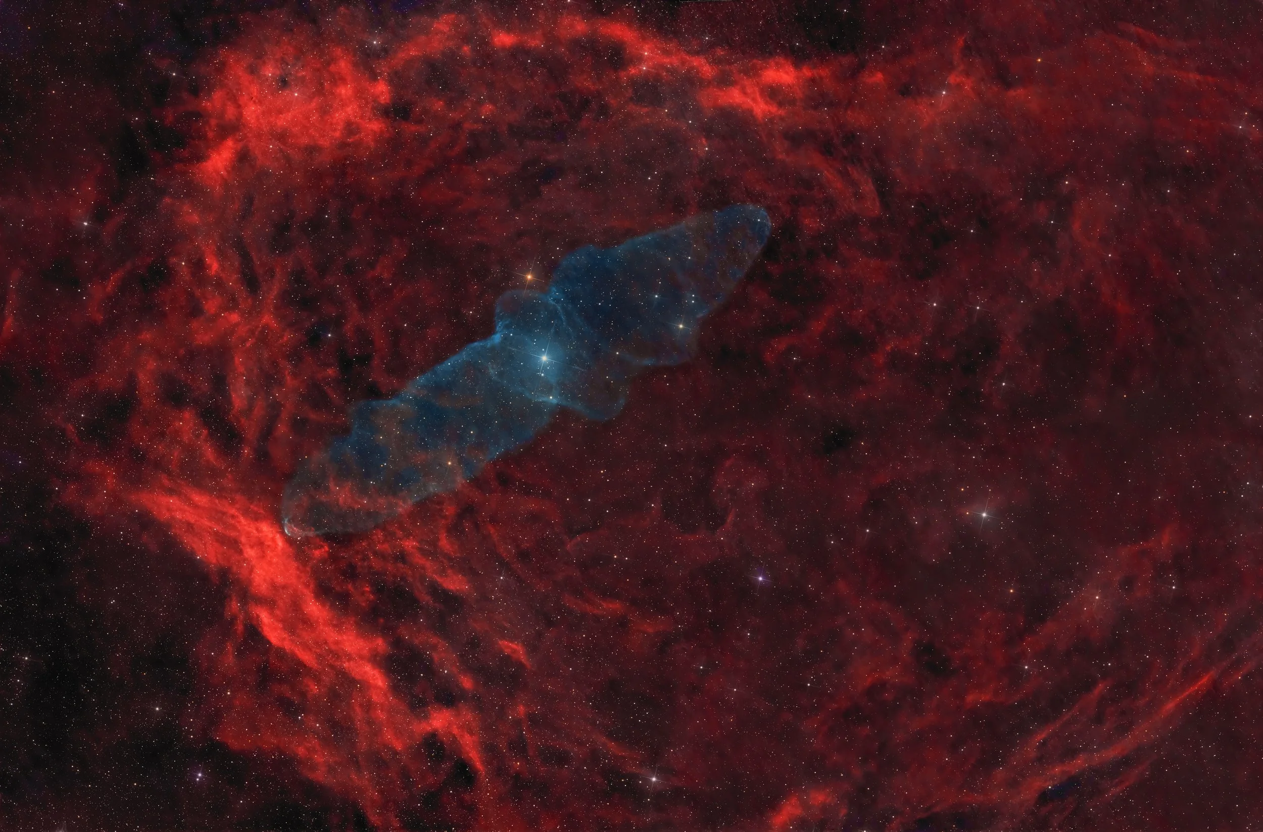 Flying Bat and Squid nebulae (Sh2-129 and Ou4)     