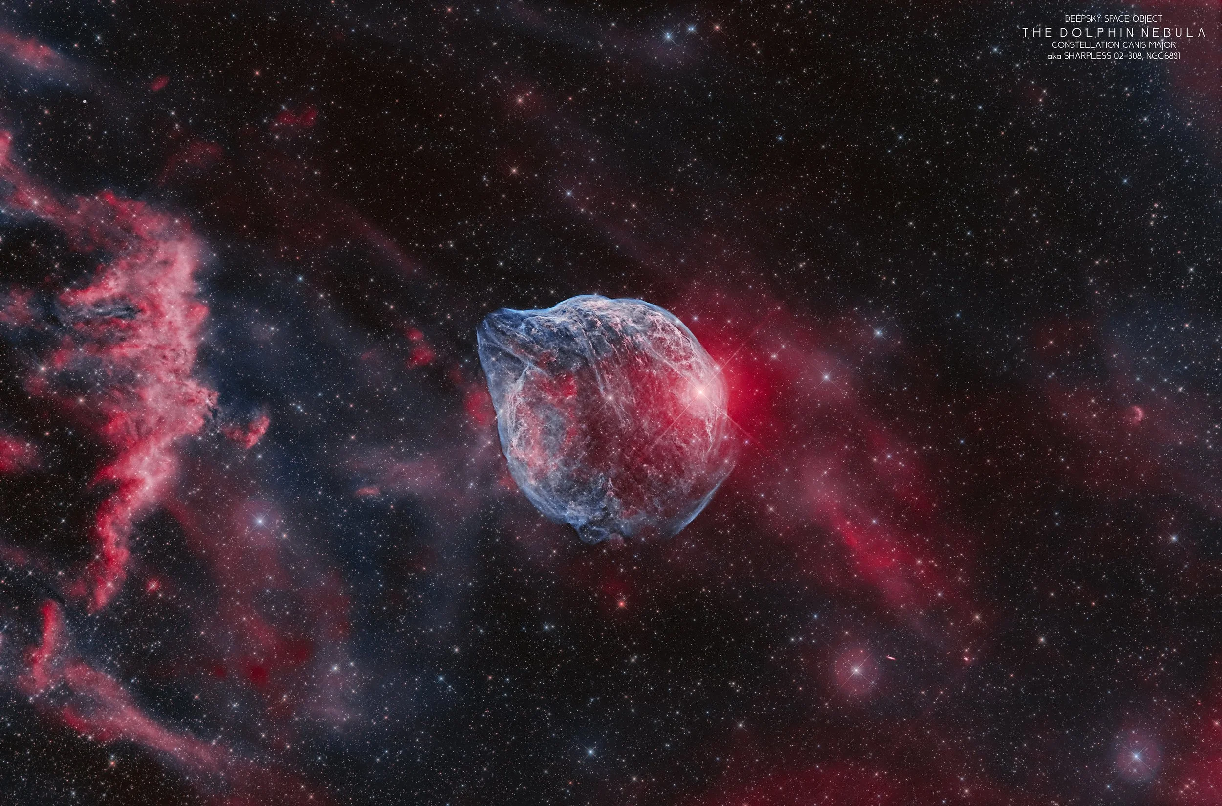 THE DOLPHIN NEBULA