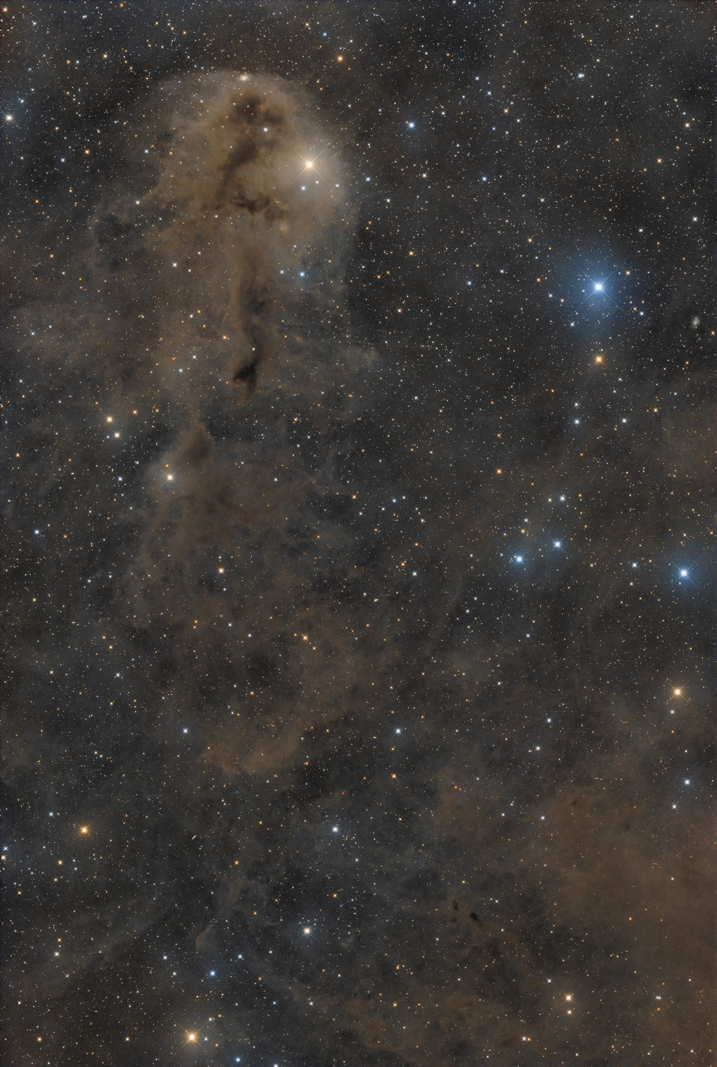 LDN 1251 – The Rotting Fish Dark Nebula