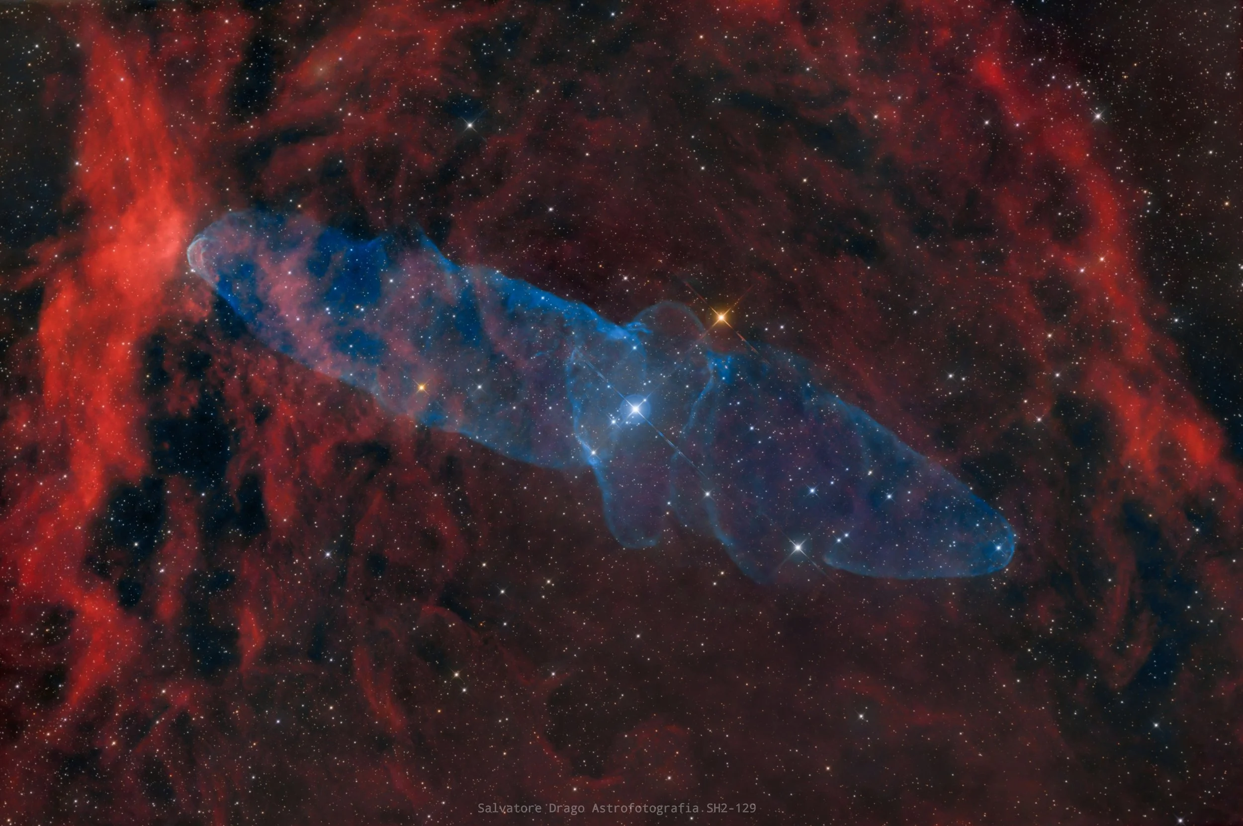 SH2-129 &amp; OU4 — The Giant Squid