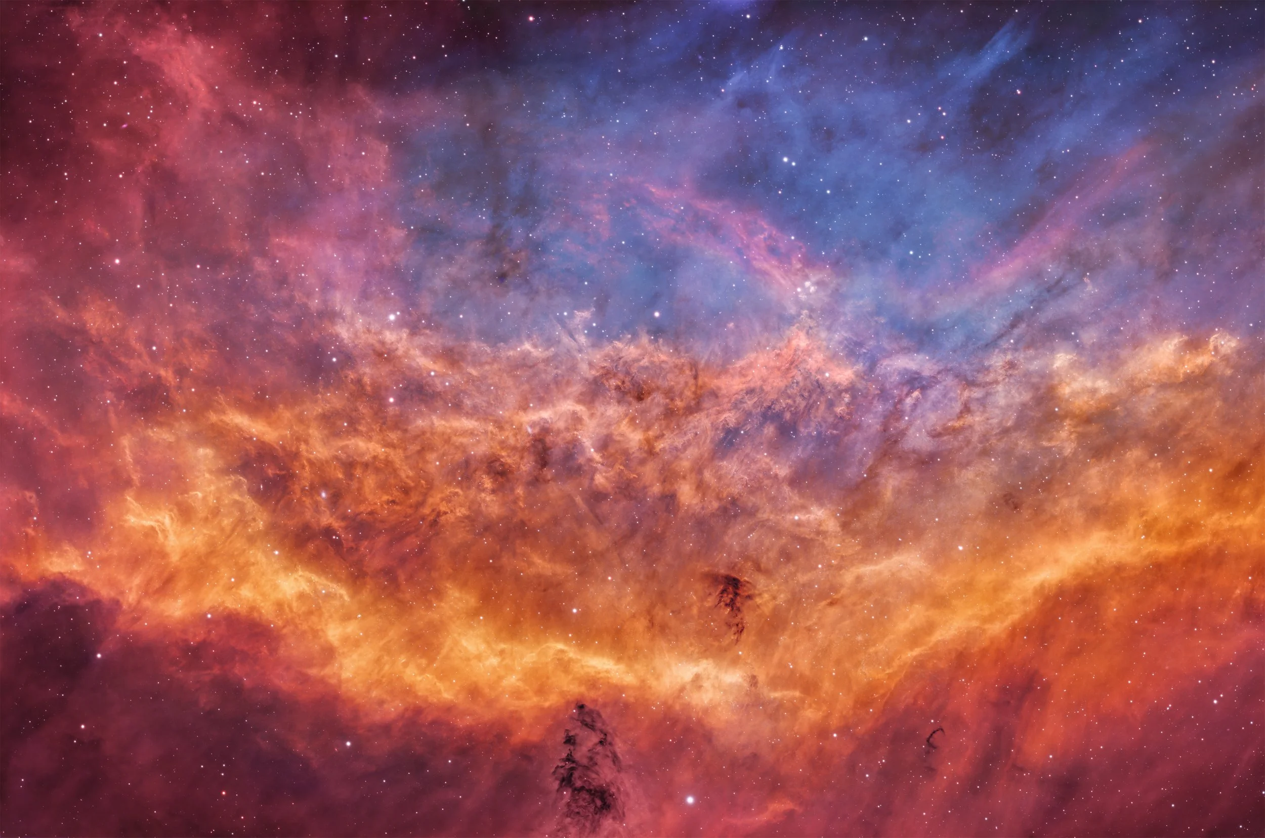 Widefield deep HOO image of the North America Nebula showing glowing orange hydrogen clouds and blue oxygen regions with dark dust pillars against a dense star field.