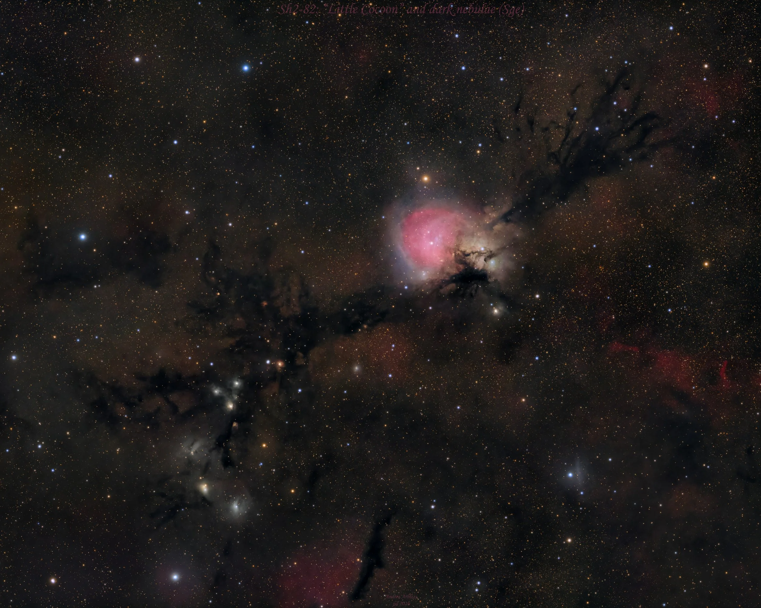 “Little Cocoon” and its dark nebulae