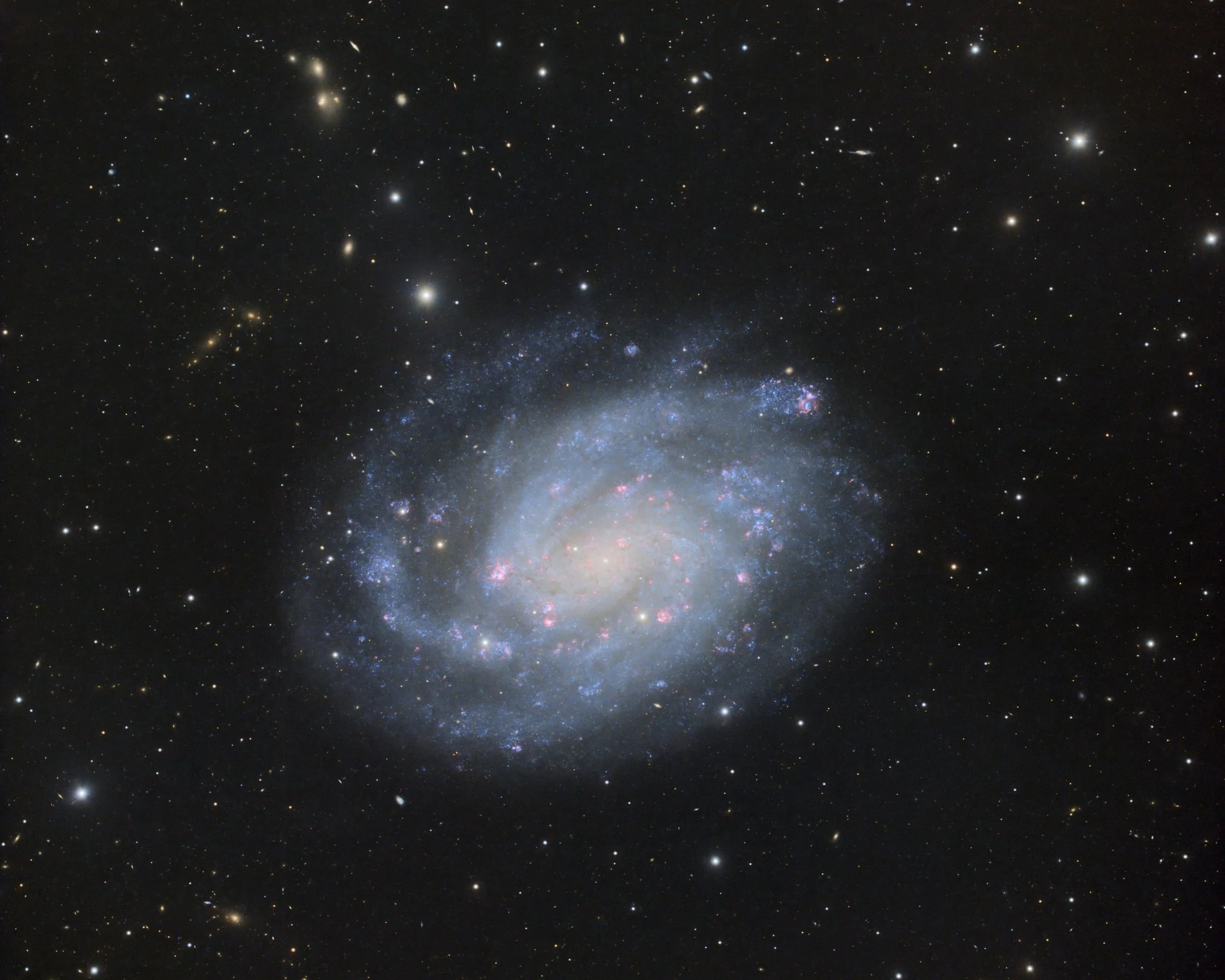 NGC 300 - an obliquely angled spiral galaxy in Sculptor