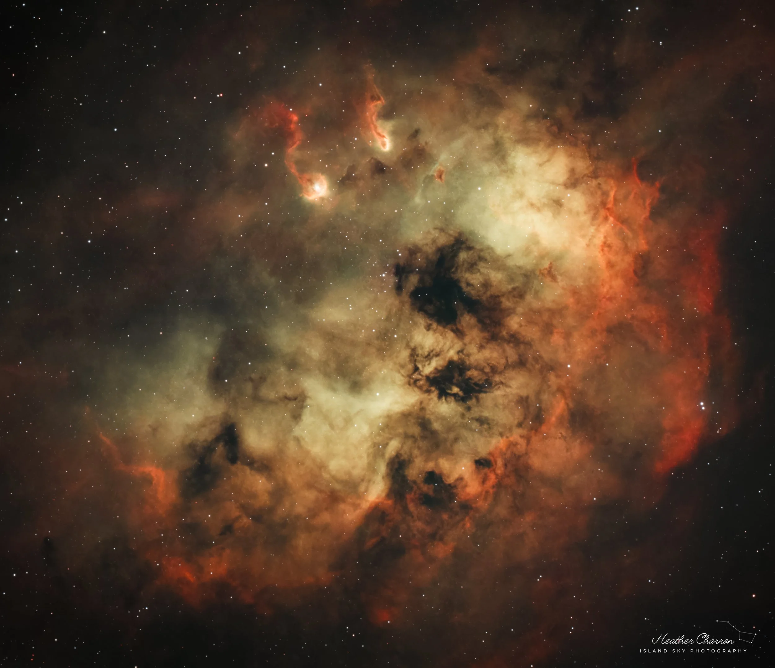 IC 410 | The Tadpole Nebula