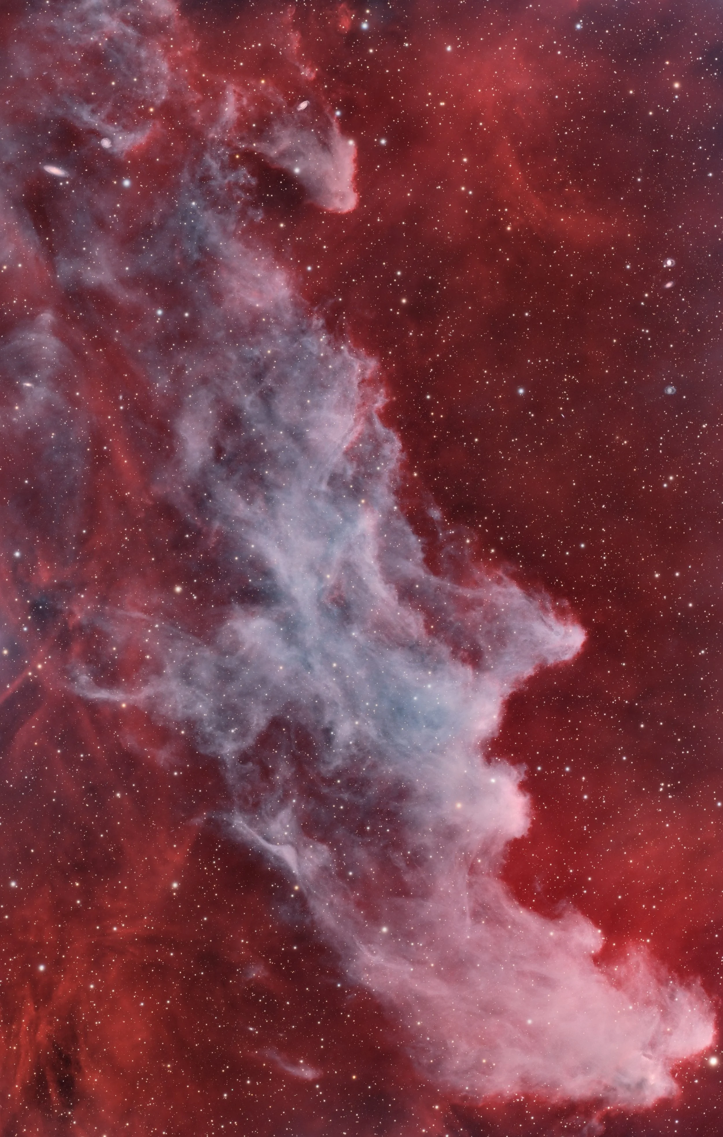 The Witch Head Nebulae