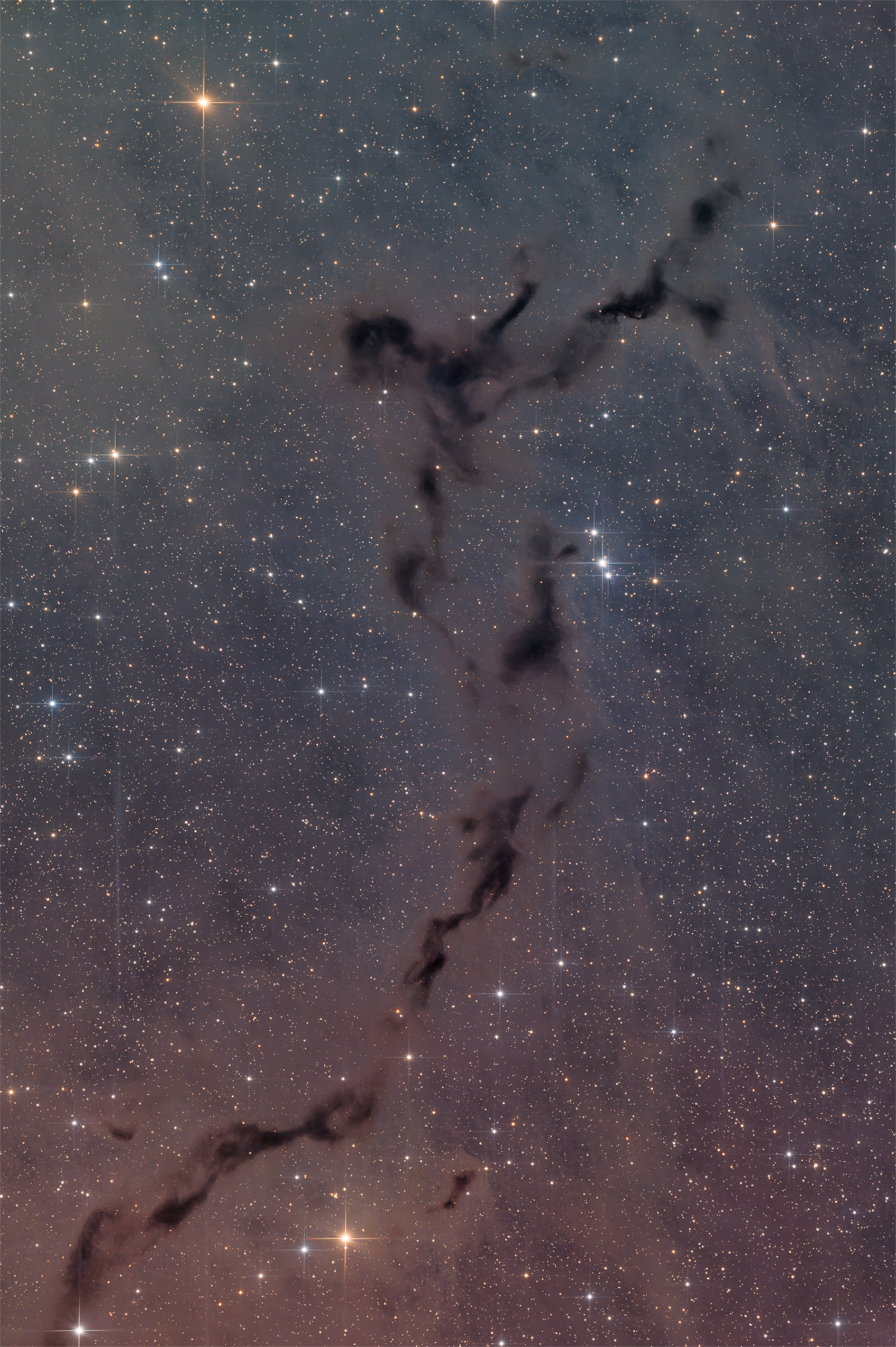 Seahorse nebula - Barnard 150
