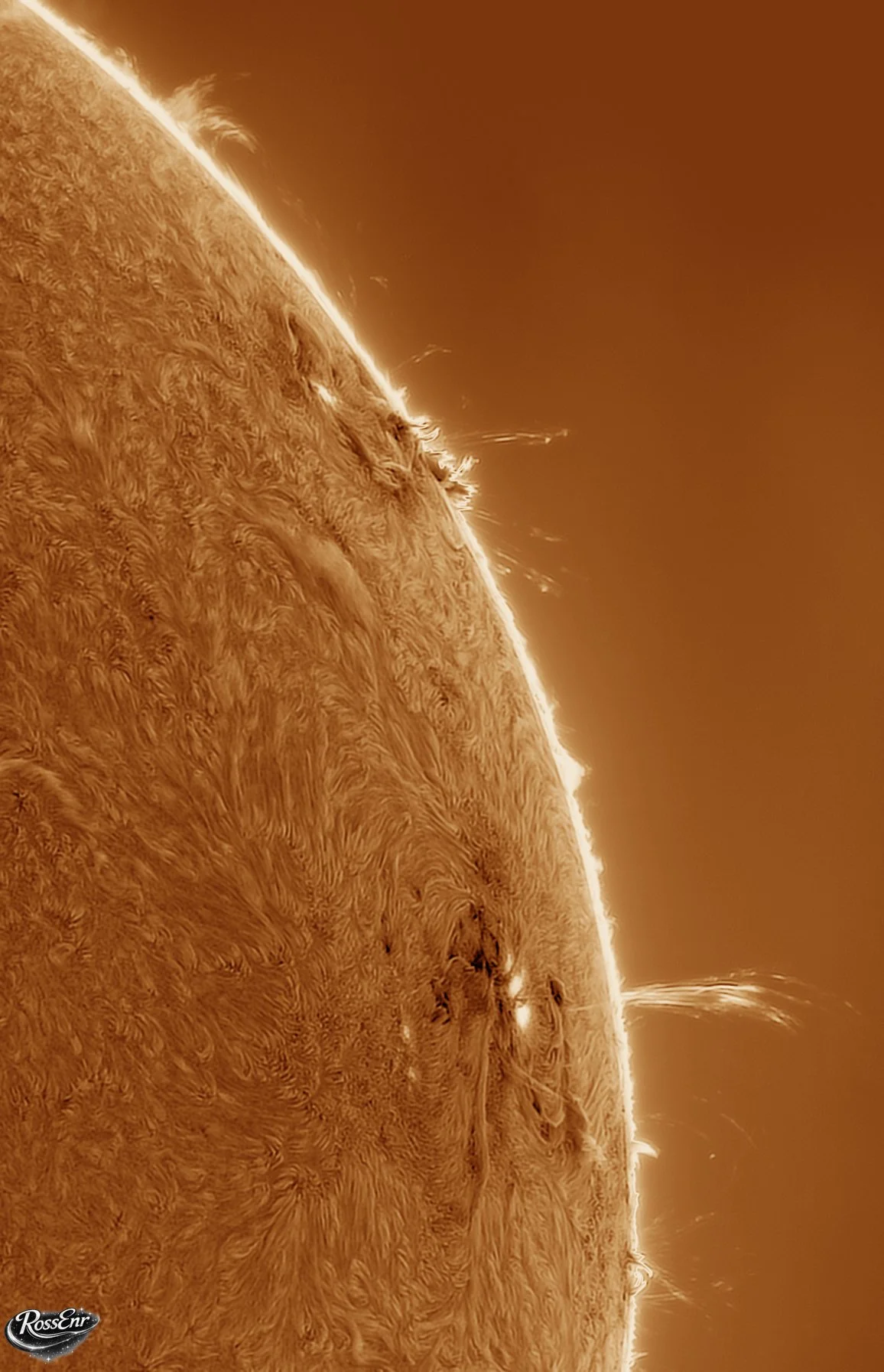 The Sun July 5 2026