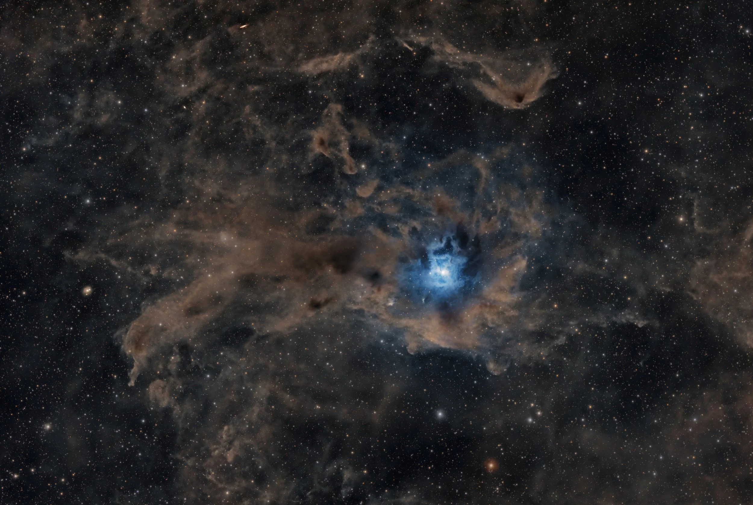 The Iris Nebula (NGC 7023) and lots of dust
