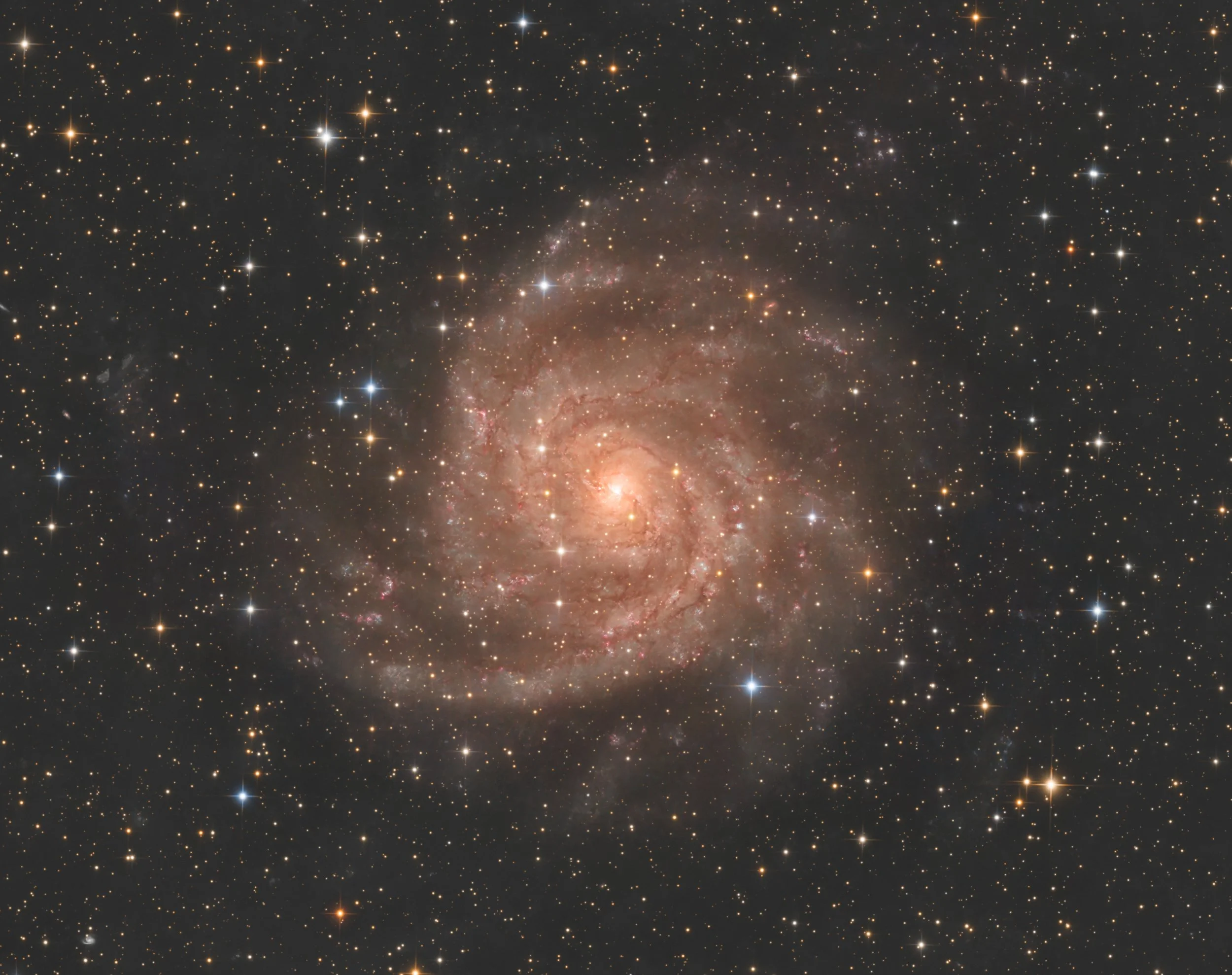 Face-on spiral galaxy IC 342 with softly defined arms, pink star-forming regions, and a bright central core, seen through a dense foreground of Milky Way stars.