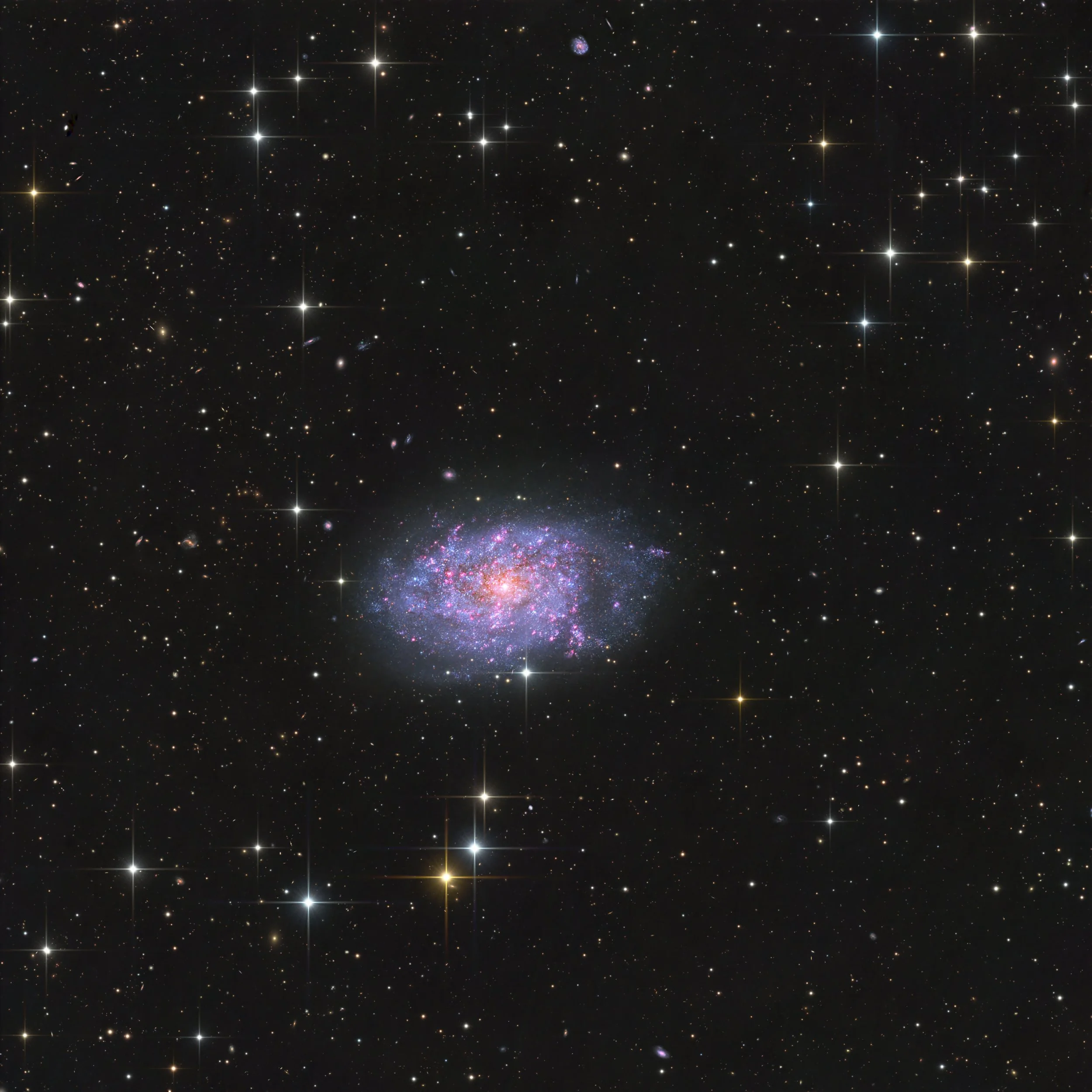 NGC 7793, a small flocculent spiral galaxy with a bright core and patchy star-forming regions, set against a dense star field, imaged from Rio Hurtado, Chile.
