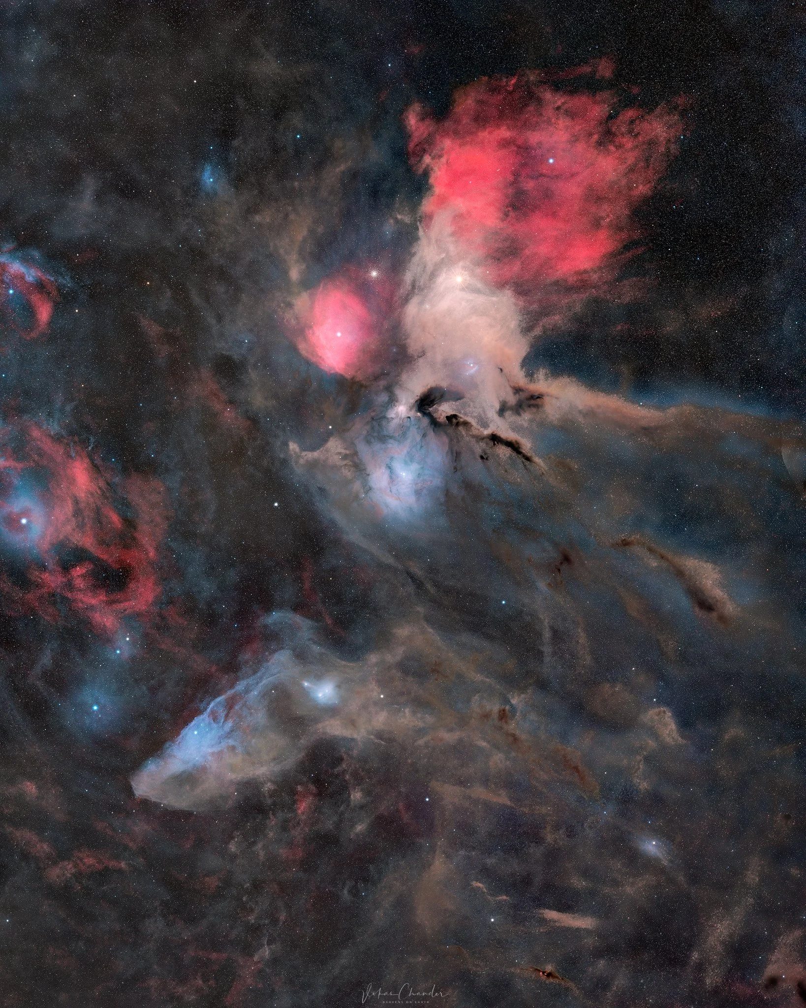 Rho Ophiuchi and the Blue Horsehead