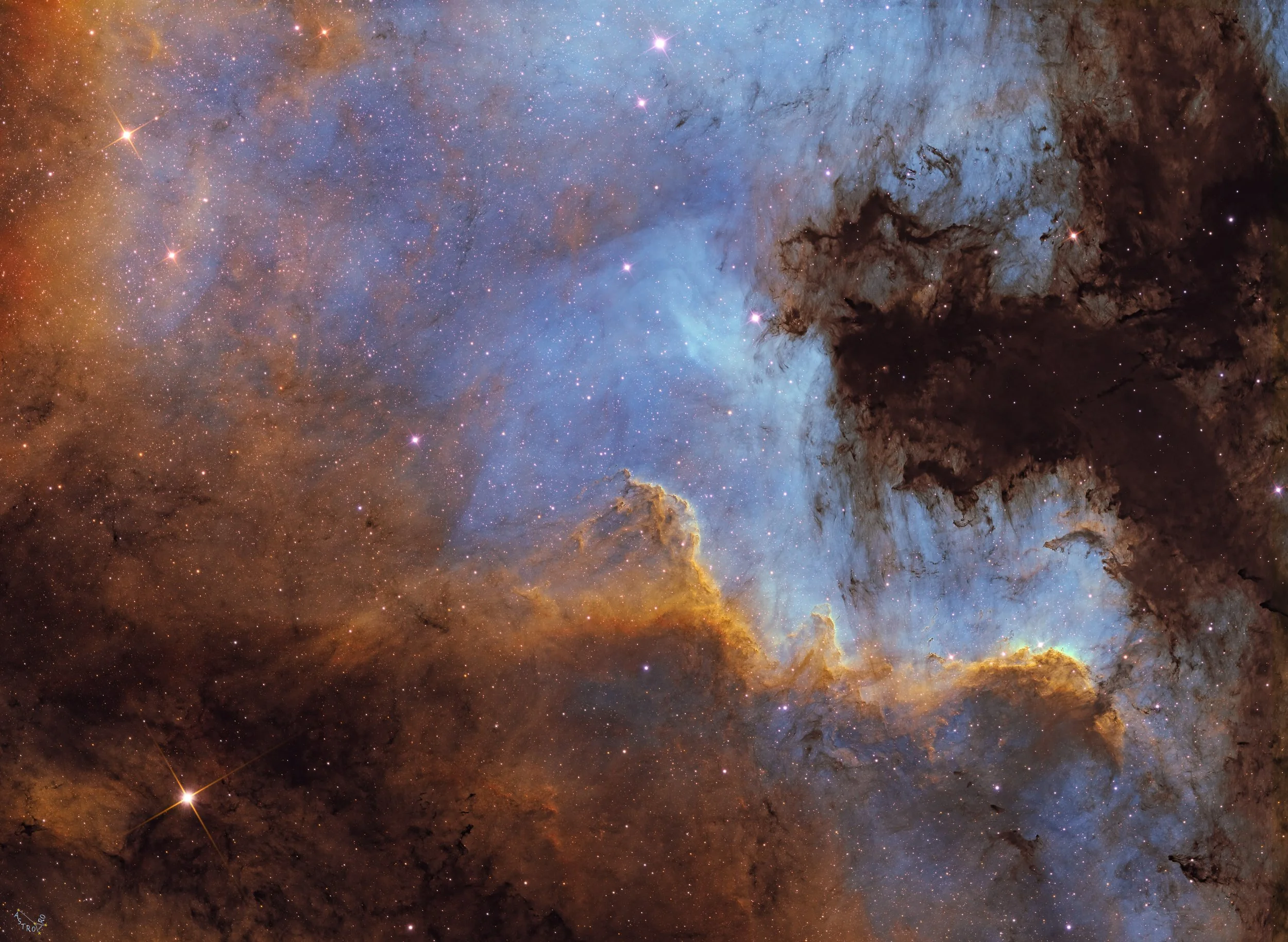 The Cygnus Wall