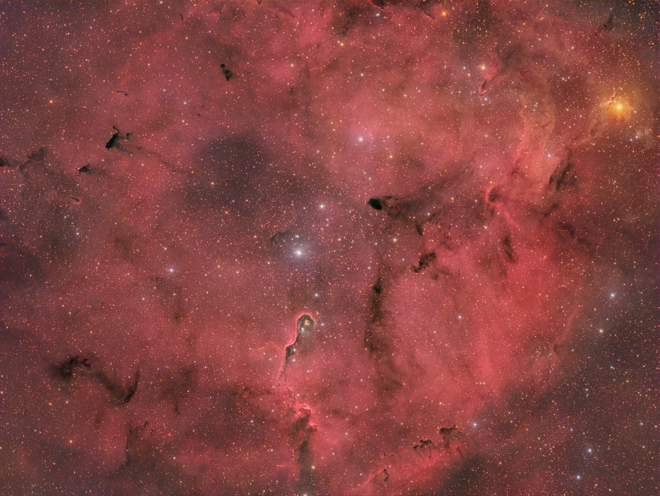 IC 1396 - An Elephant´s Trunk