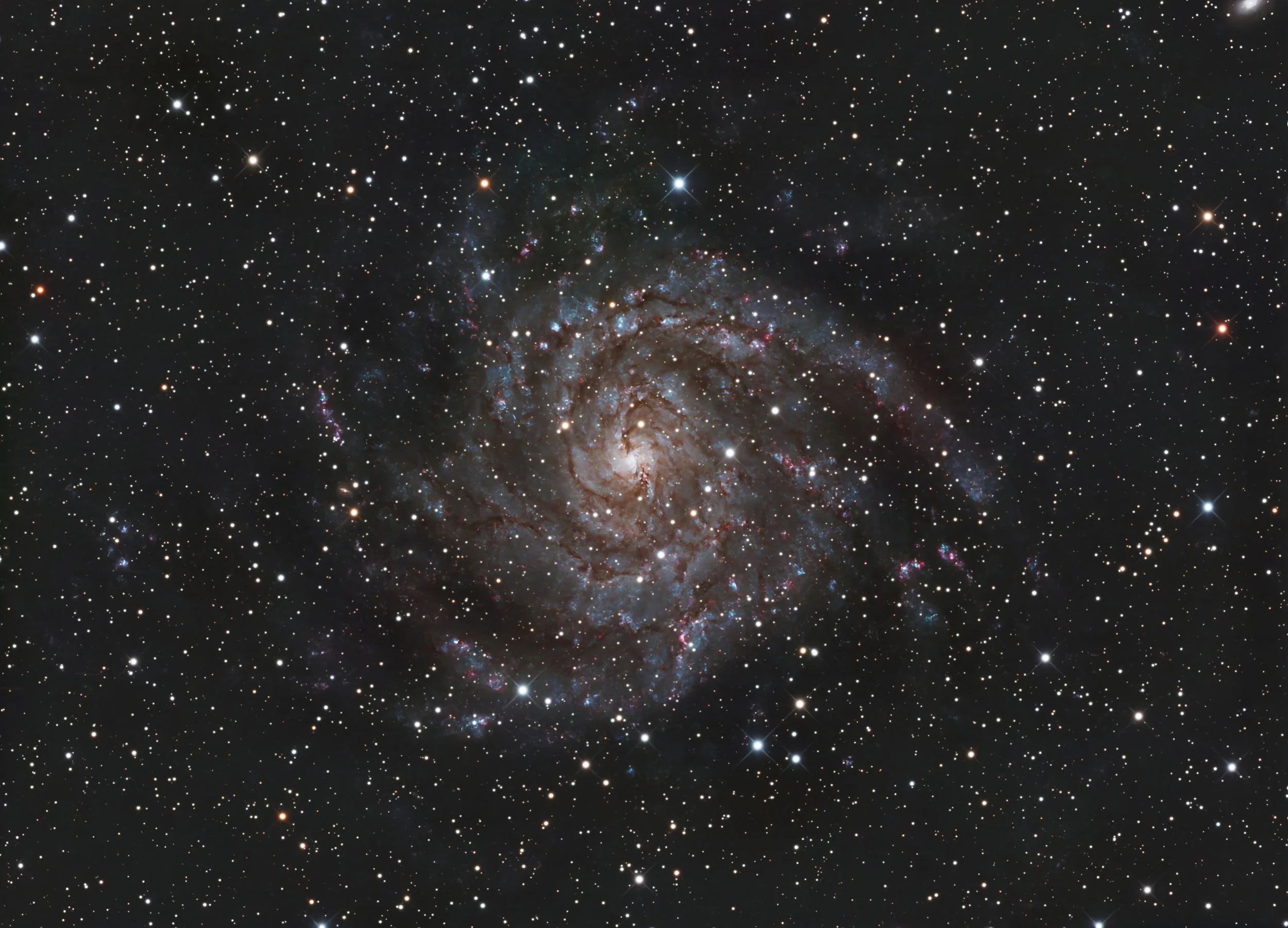 IC 342 – The Hidden Galaxy